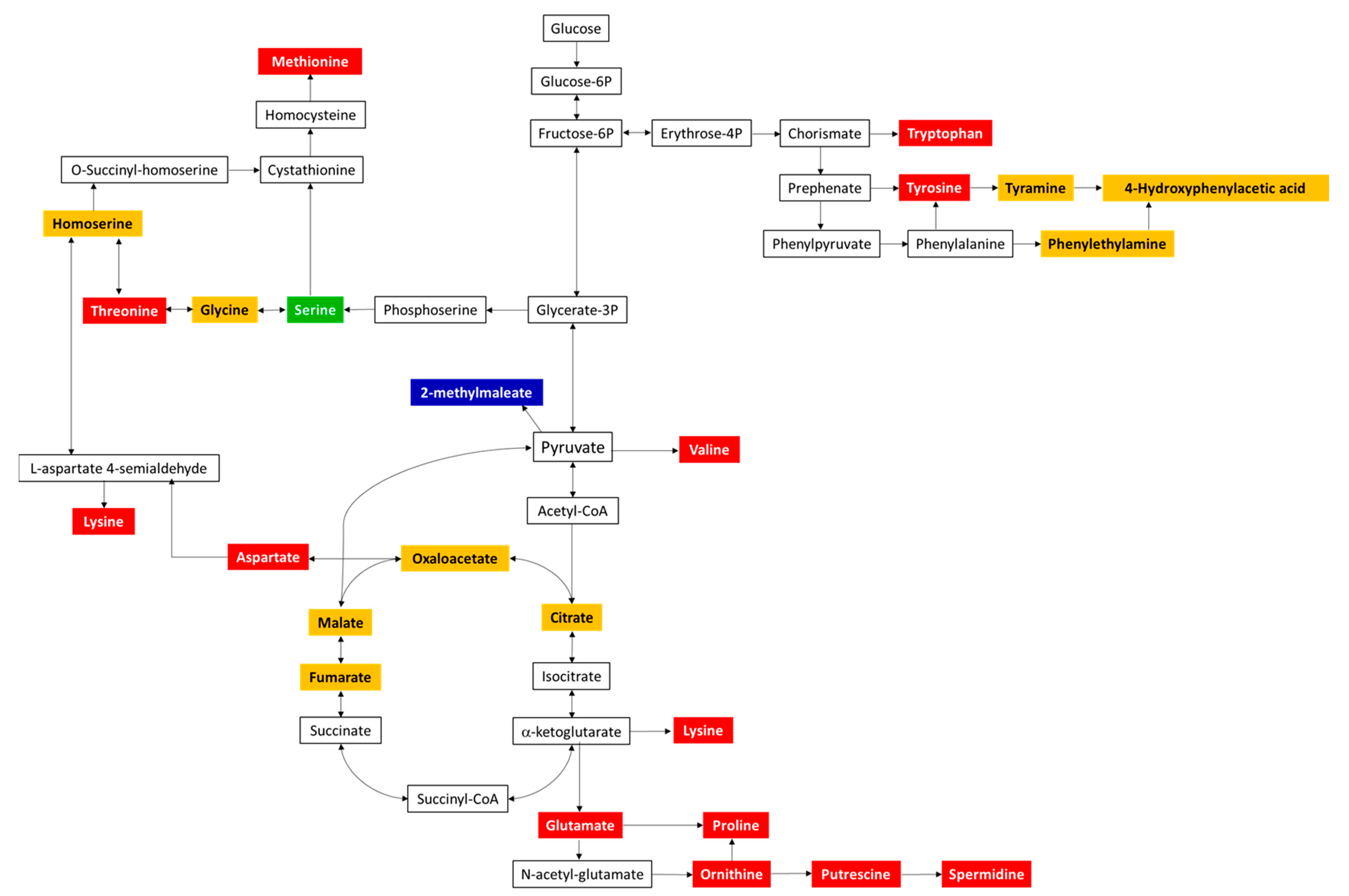 Metabolites 11 00067 g011