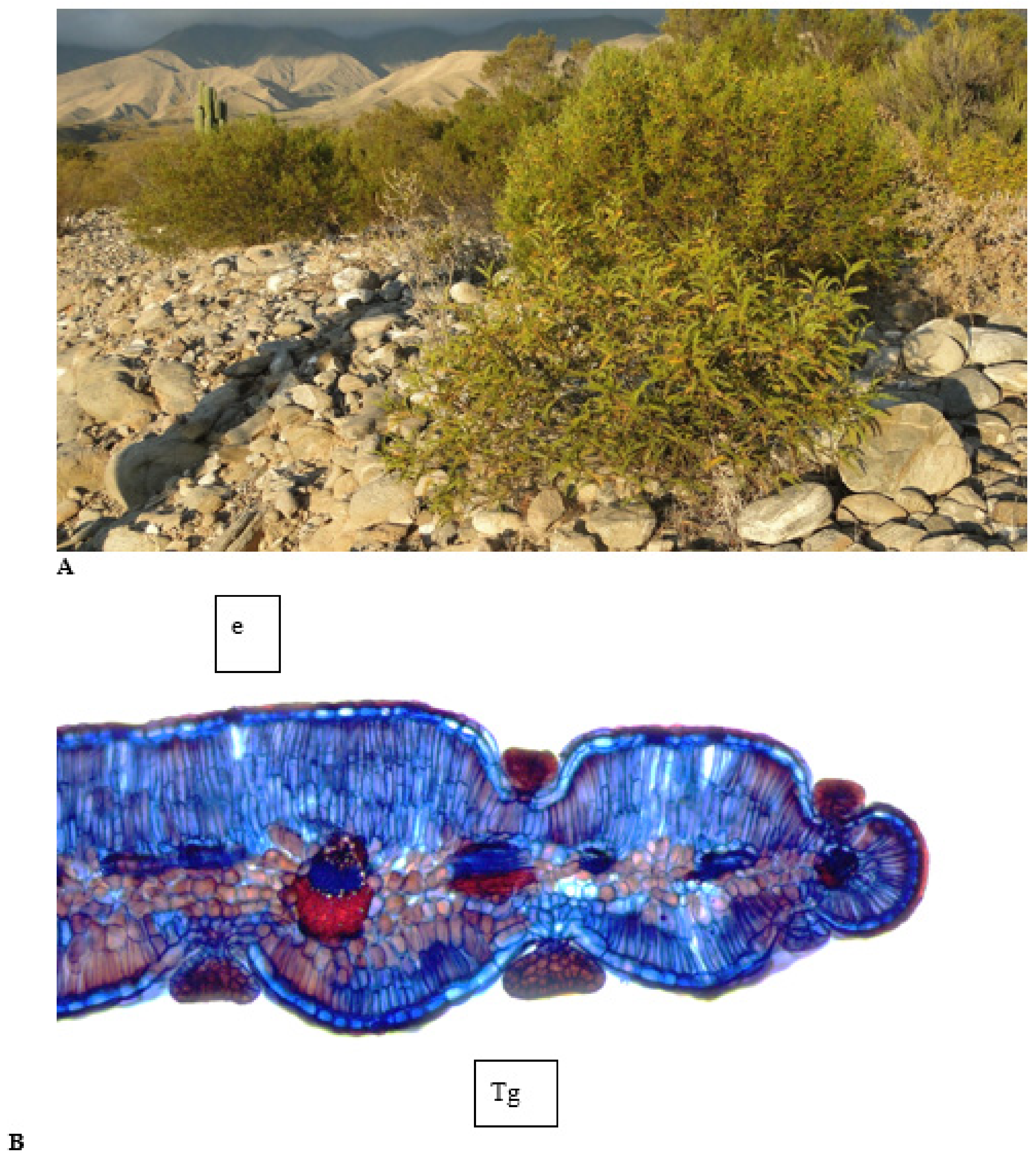 Metabolites 11 00076 g001 Metabolites 11 00076 g001