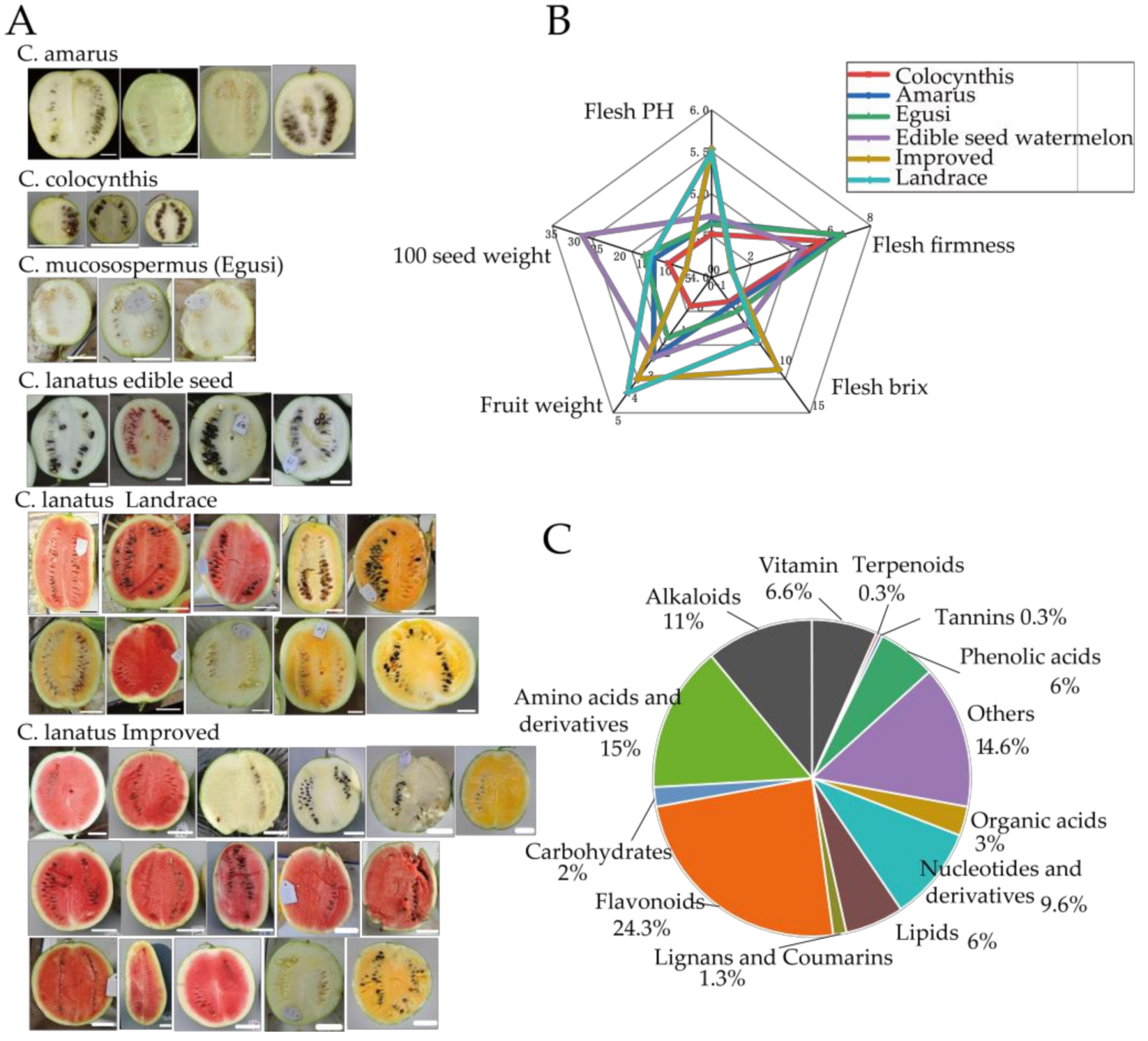 Metabolites 11 00078 g001