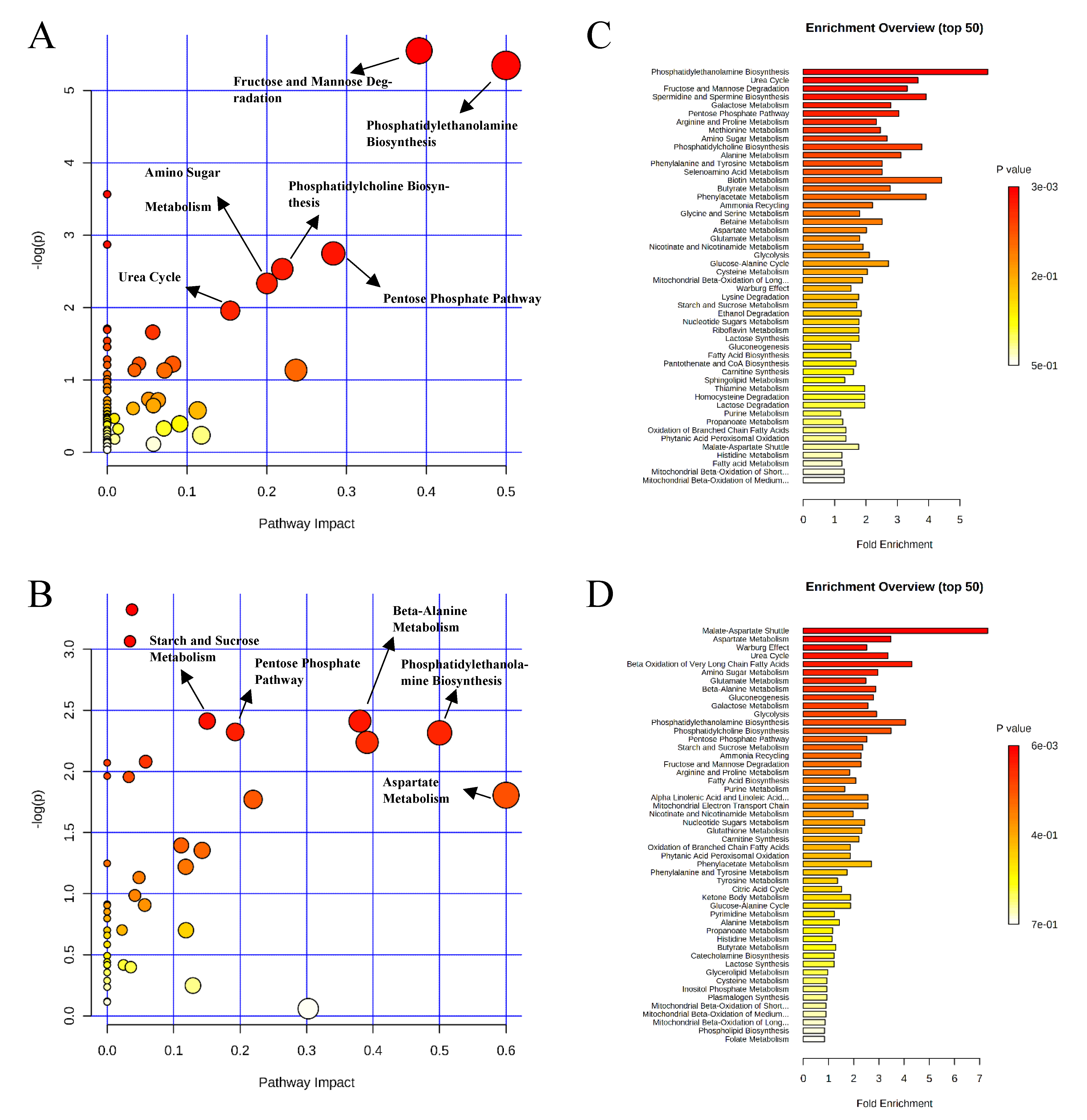 Metabolites 11 00081 g004 Metabolites 11 00081 g004