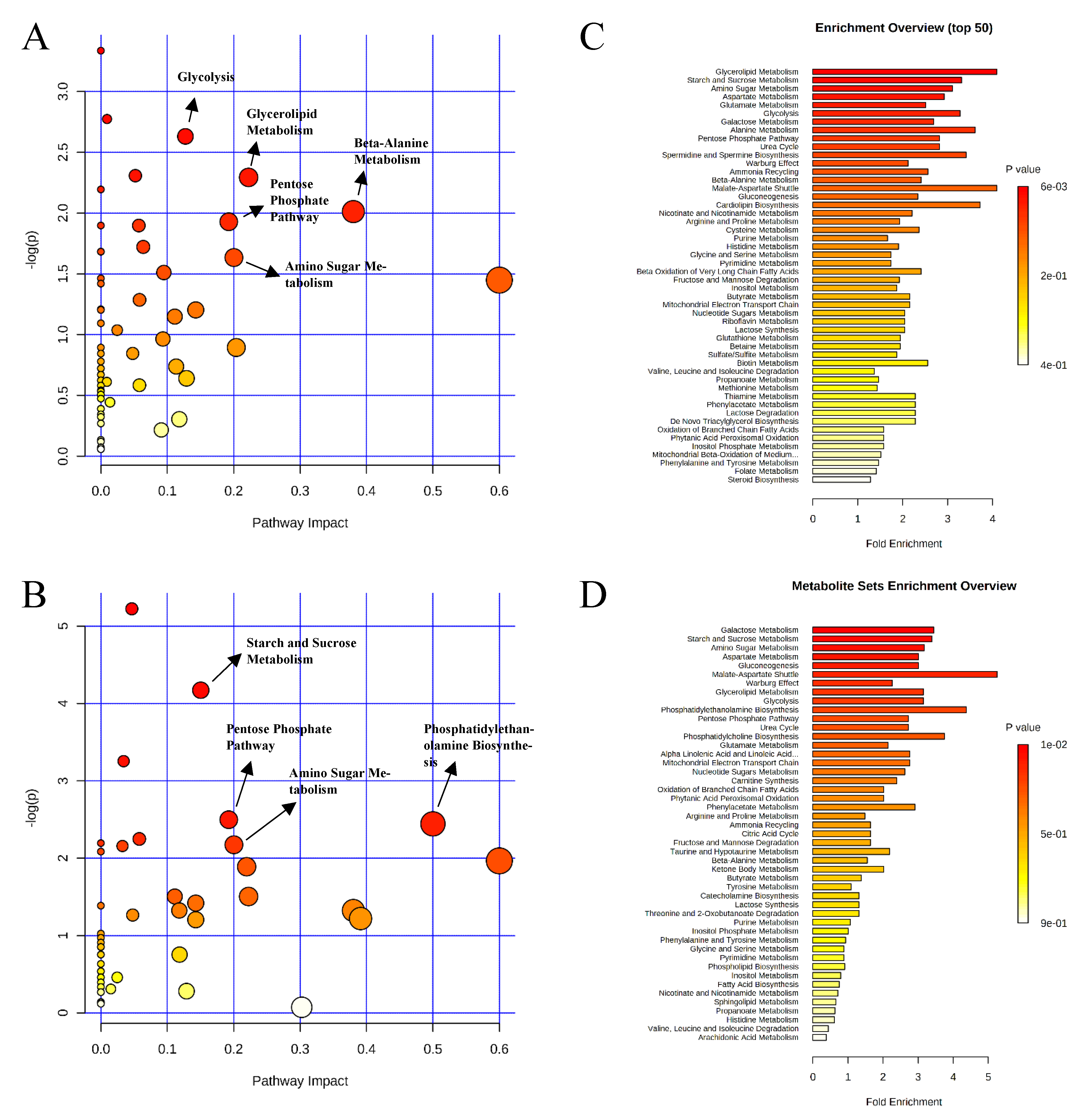 Metabolites 11 00081 g005 Metabolites 11 00081 g005