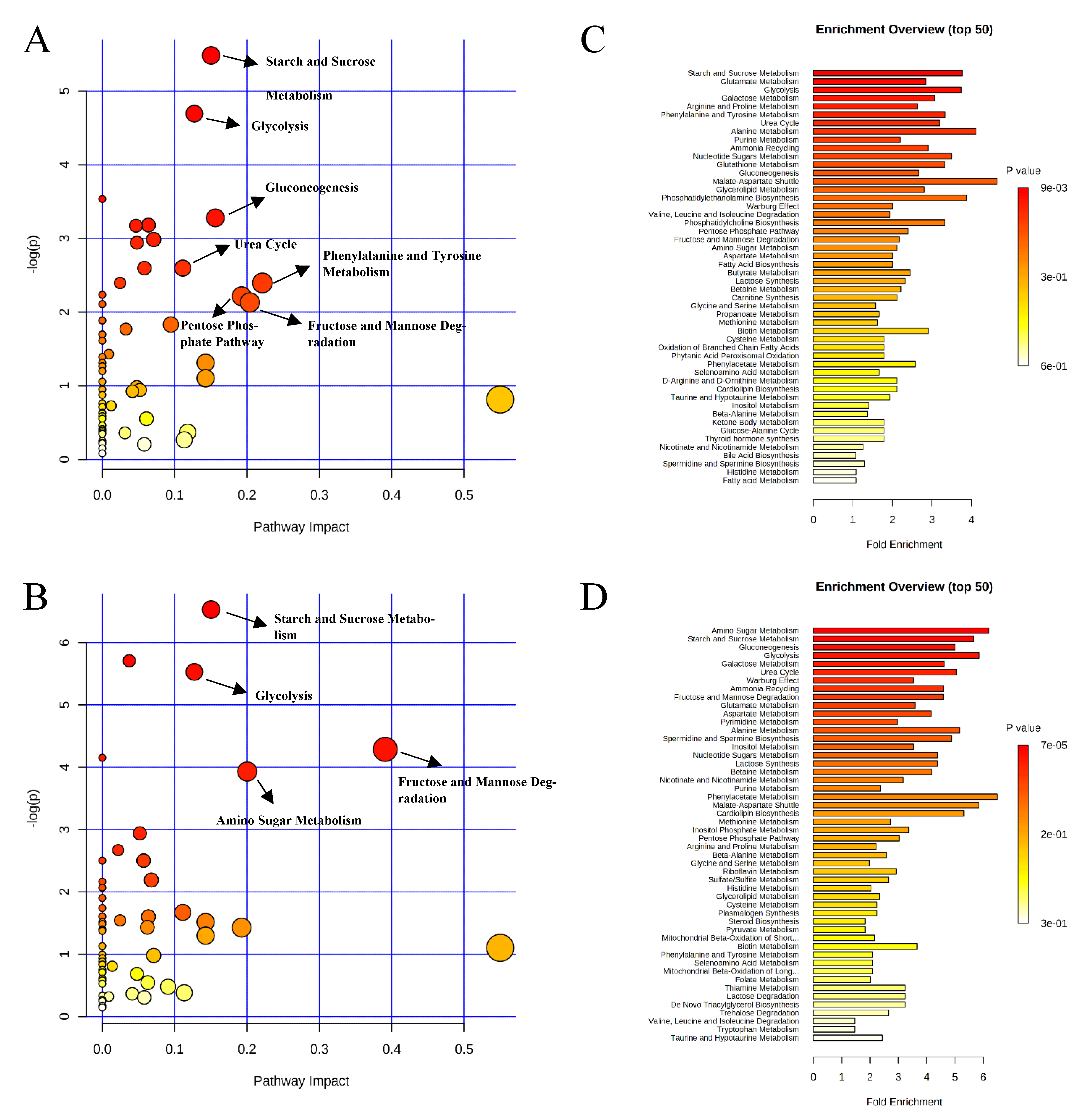 Metabolites 11 00081 g009 Metabolites 11 00081 g009
