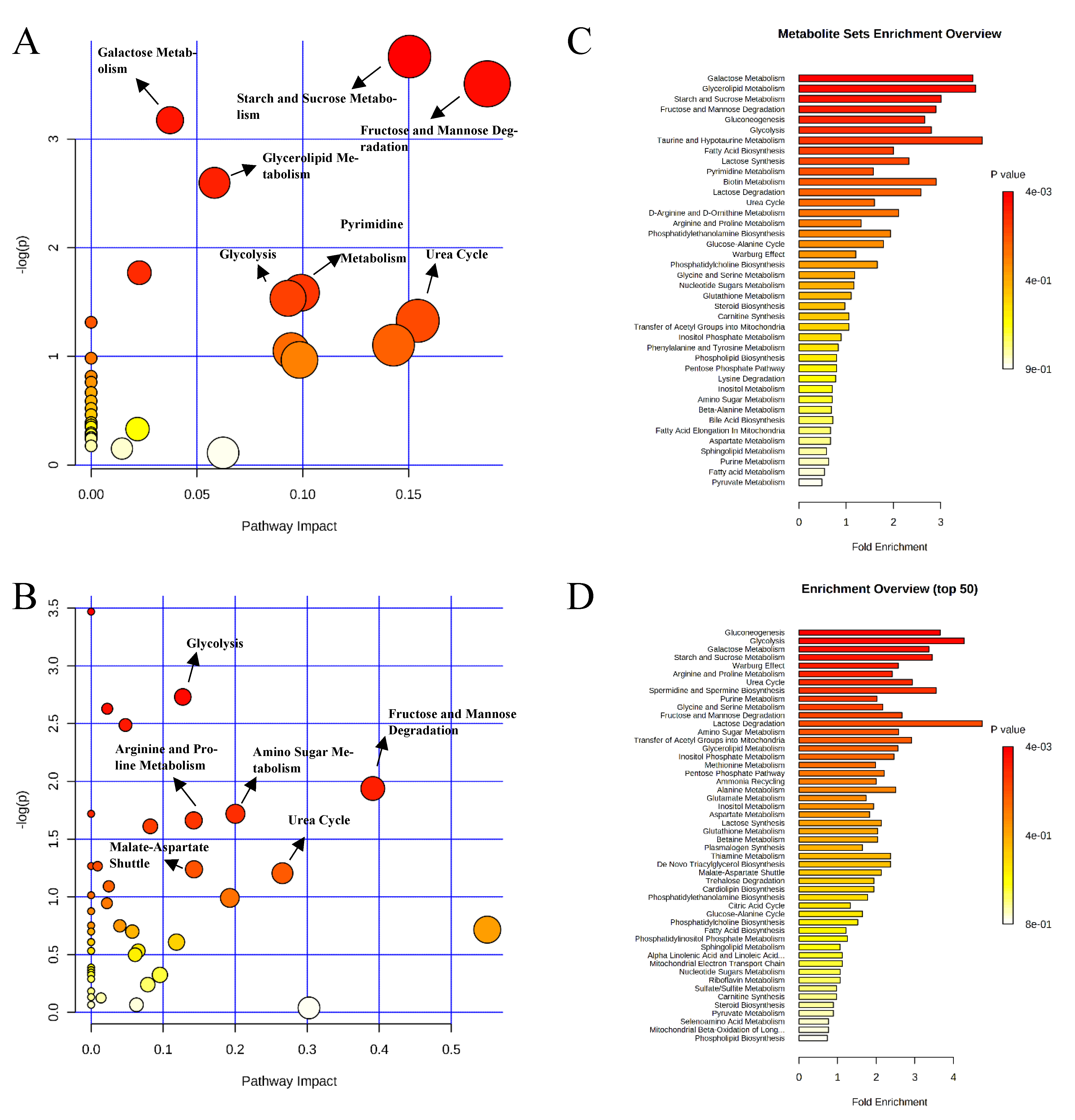 Metabolites 11 00081 g010 Metabolites 11 00081 g010