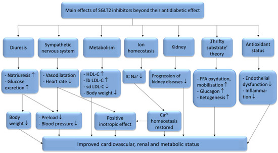 Metabolites 11 00087 g001 550