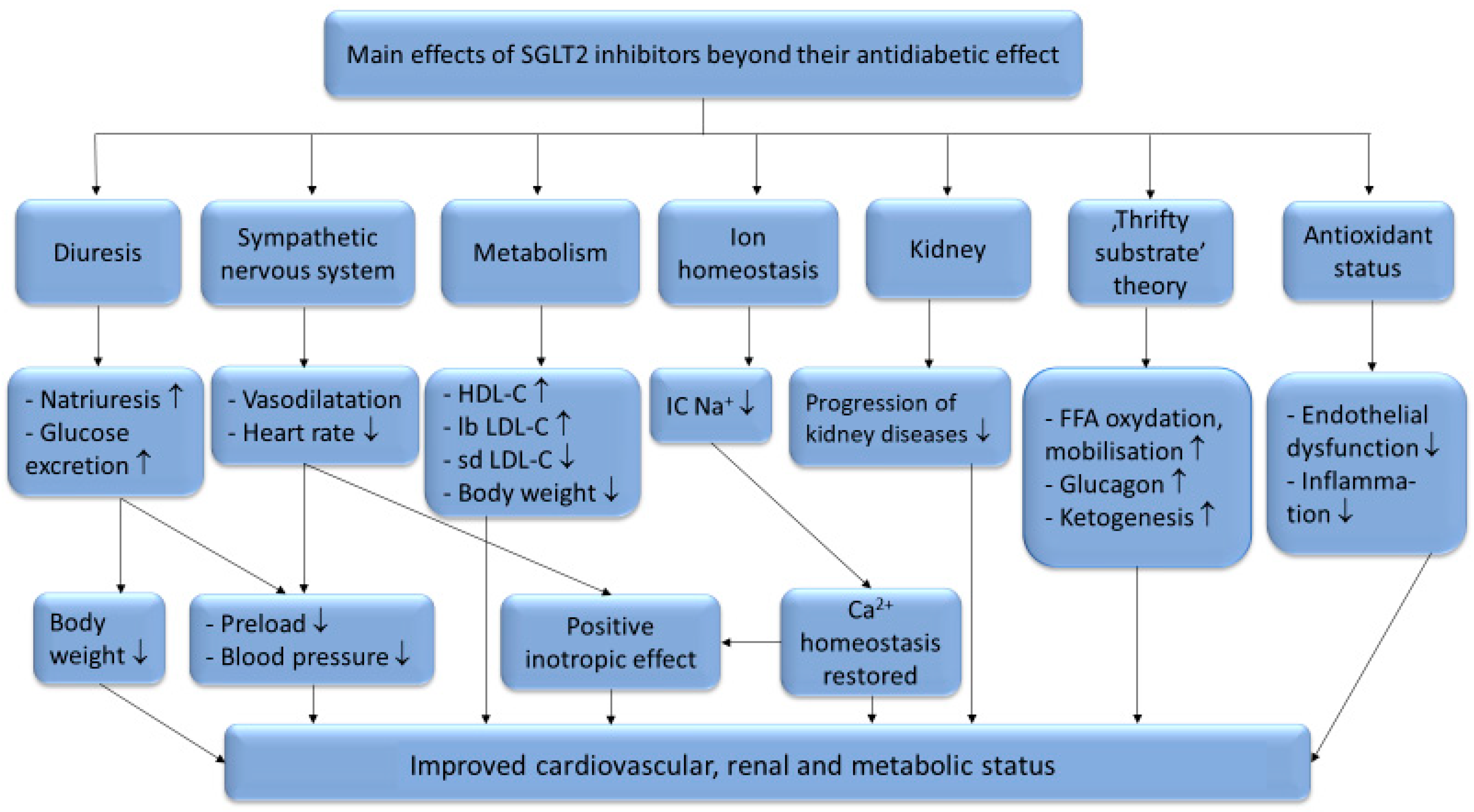 Metabolites 11 00087 g001
