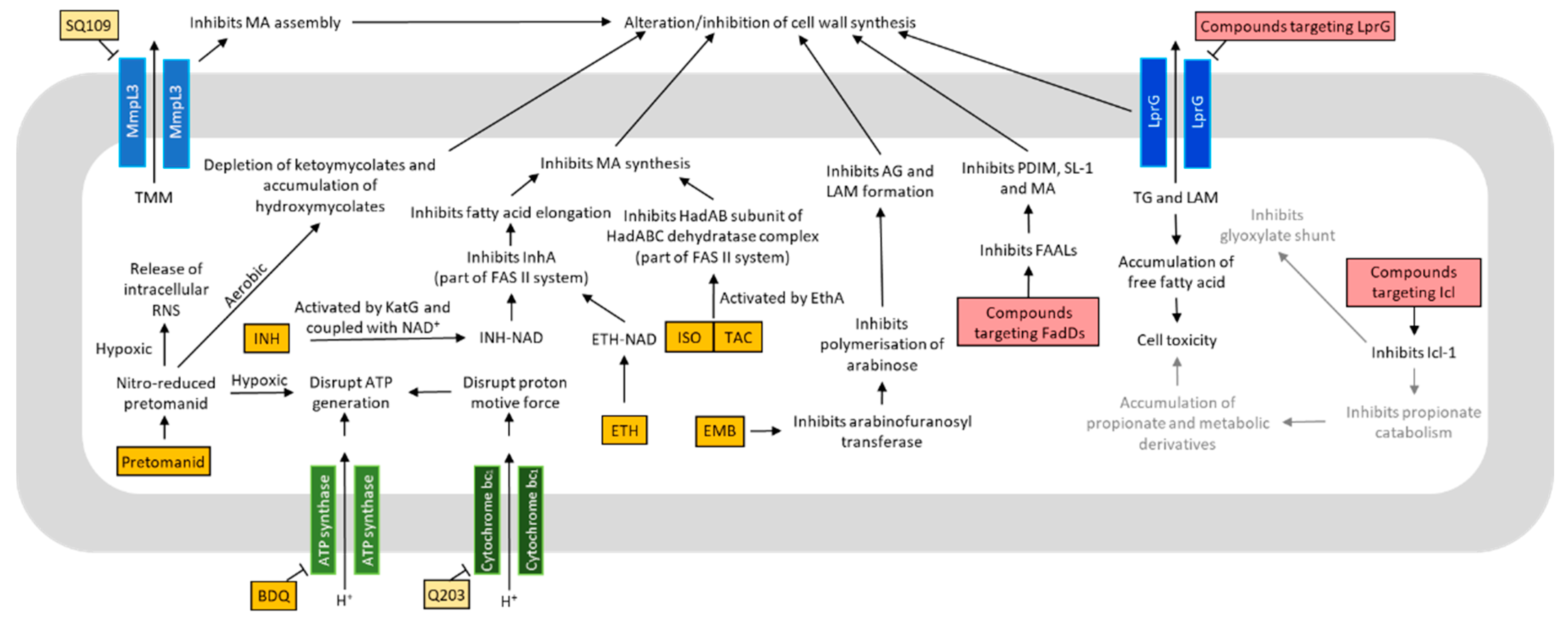 Metabolites 11 00088 g002