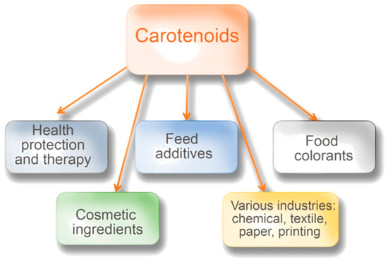 Metabolites 11 00092 g001 550