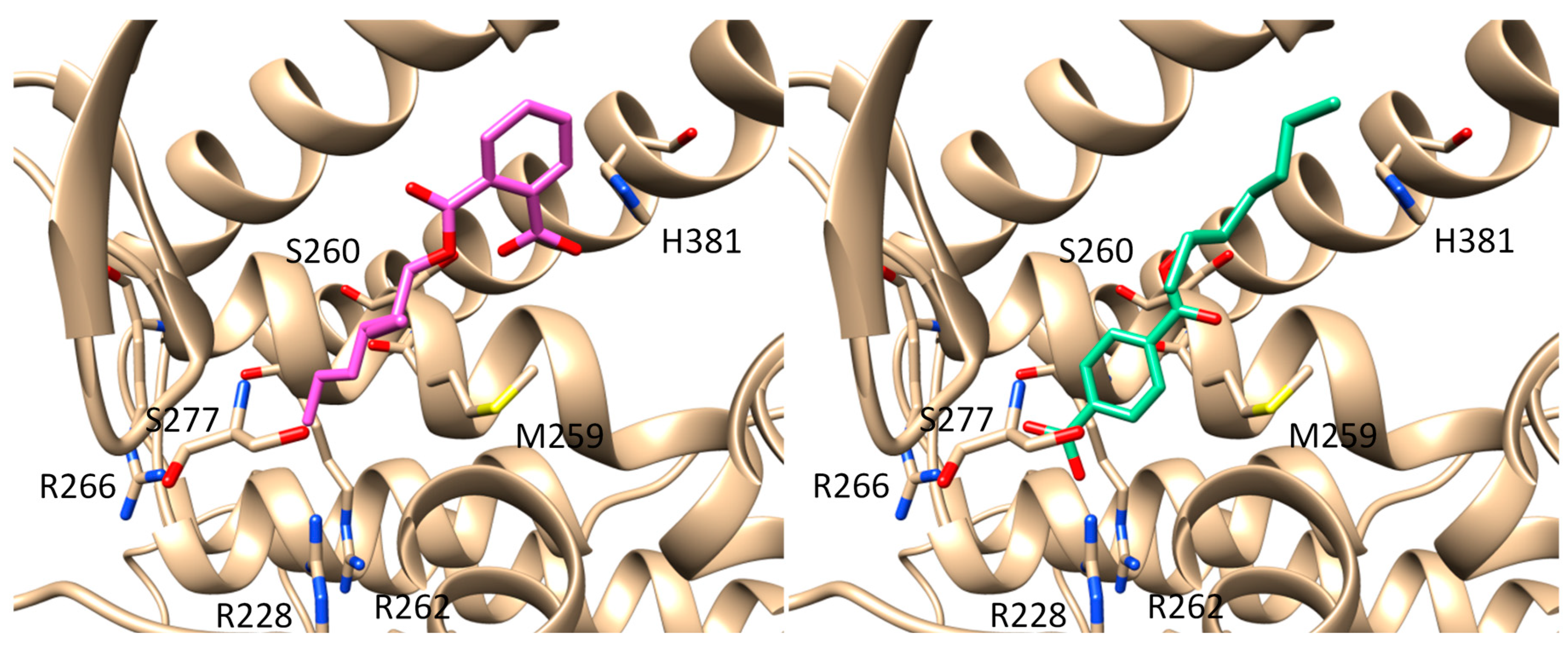 Metabolites 11 00094 g003