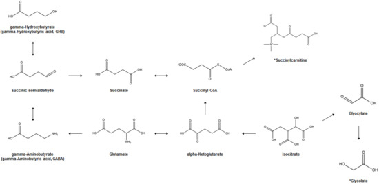 Metabolites 11 00101 g001 550