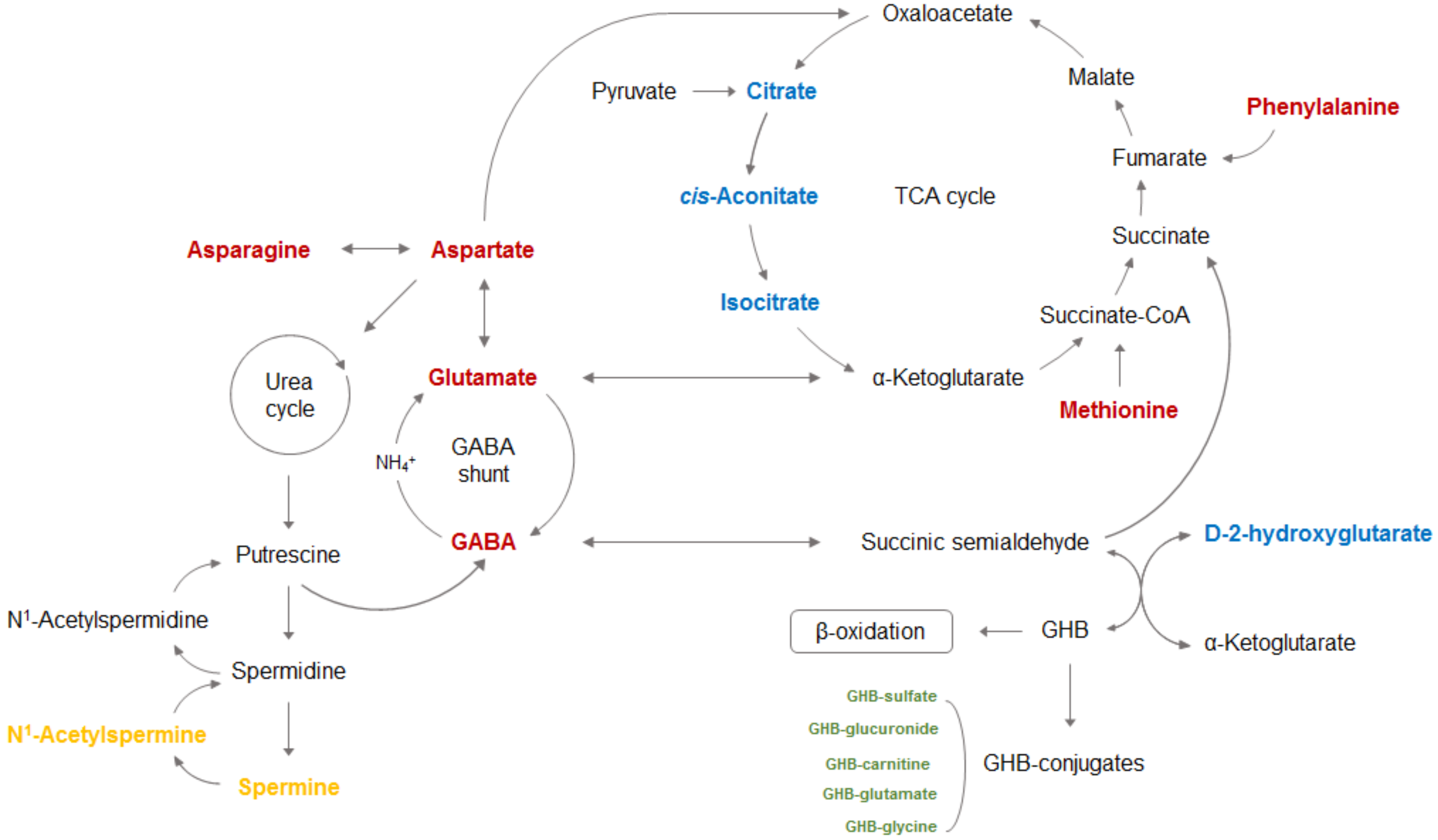 Metabolites 11 00101 g002