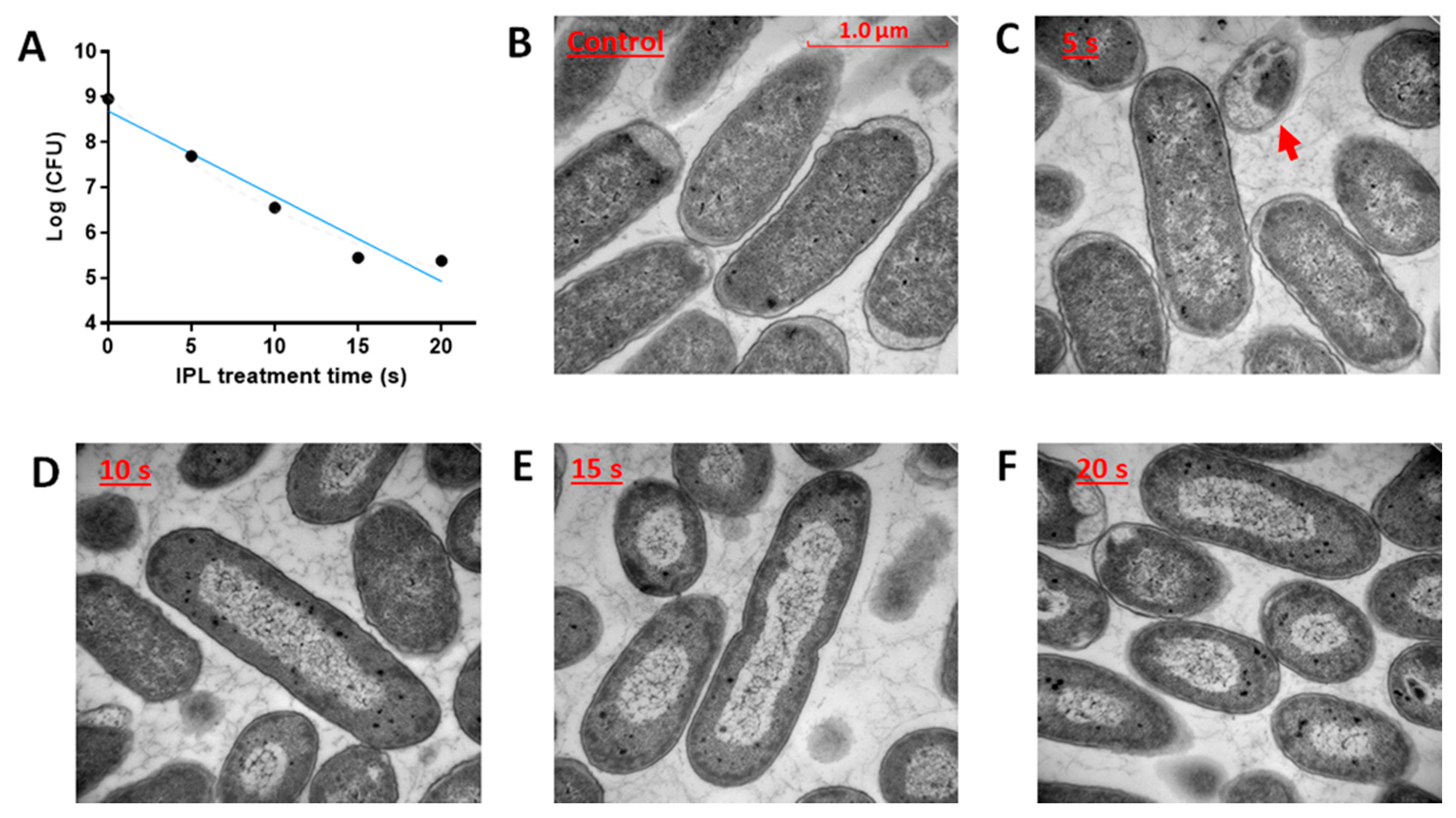 Metabolites 11 00102 g001