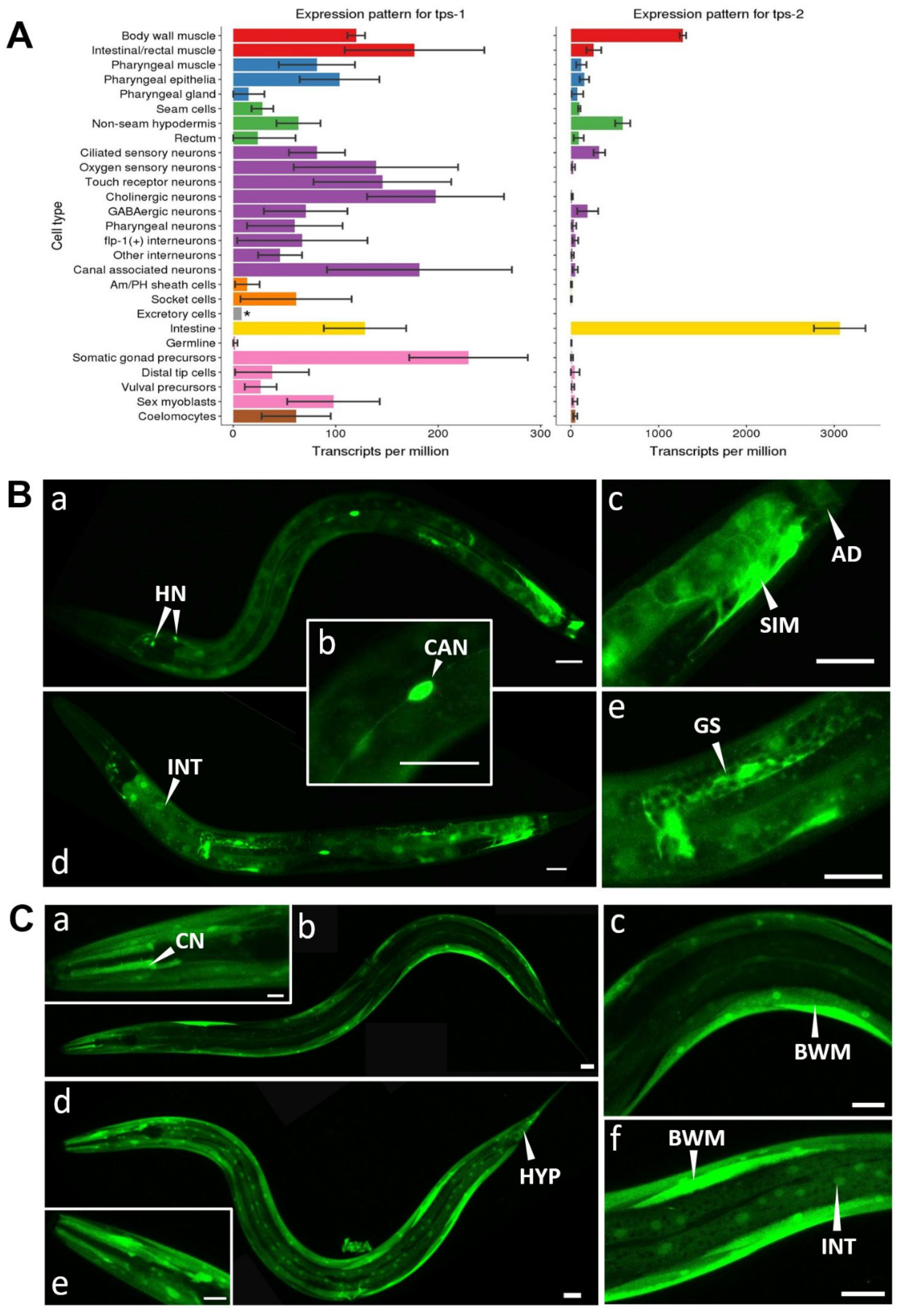 Metabolites 11 00105 g001 Metabolites 11 00105 g001