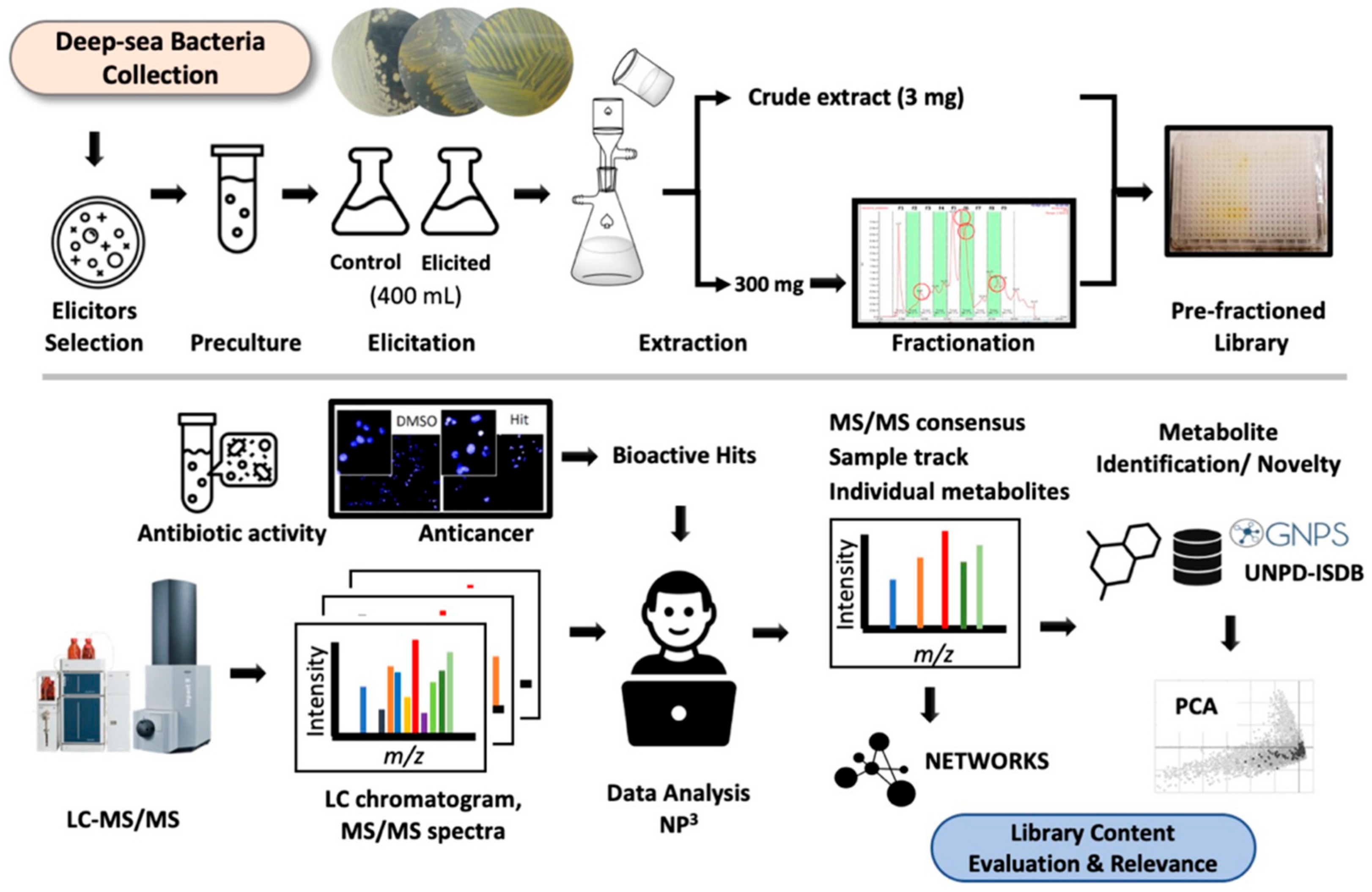 Metabolites 11 00107 g001