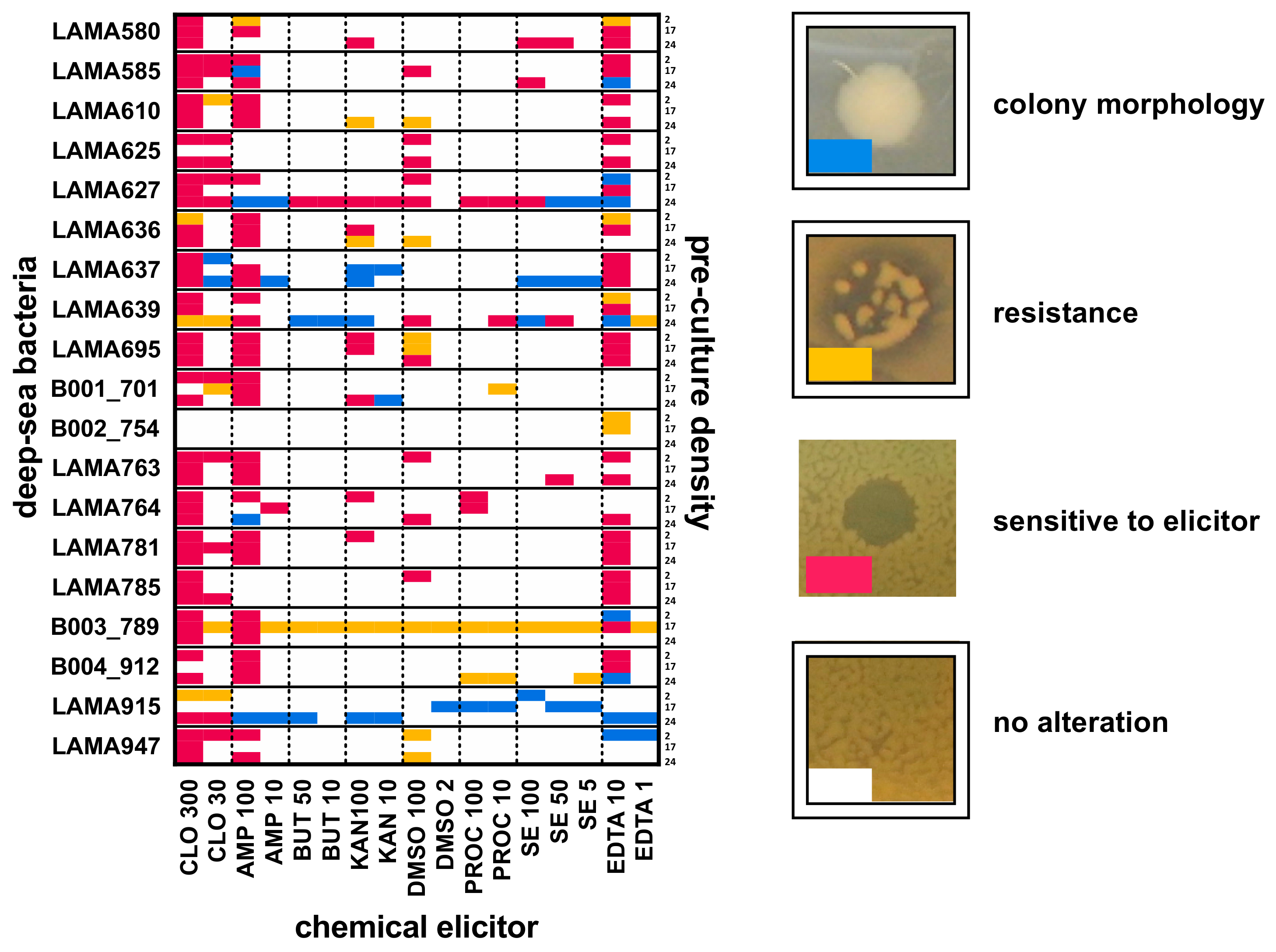 Metabolites 11 00107 g002