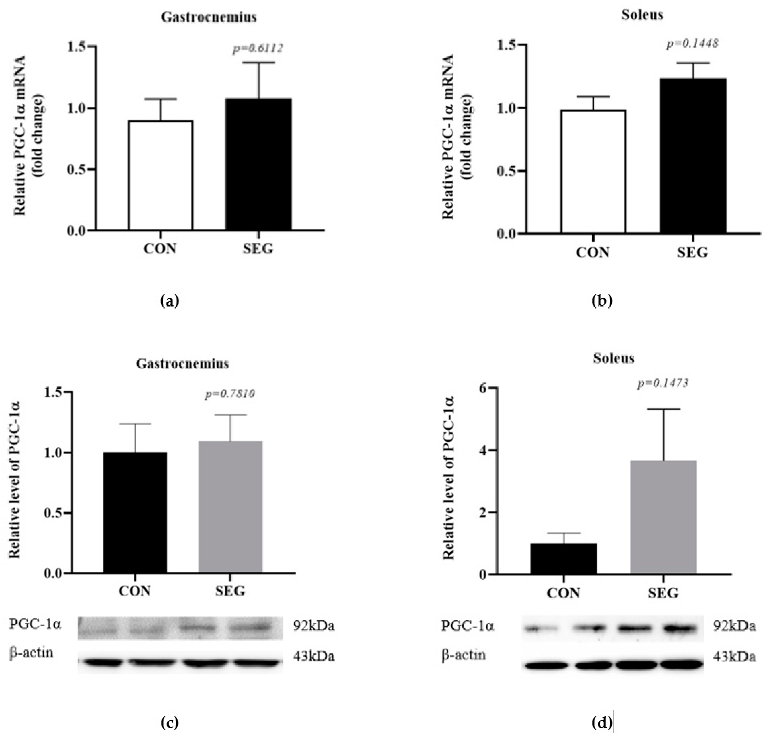 Metabolites 11 00111 g001