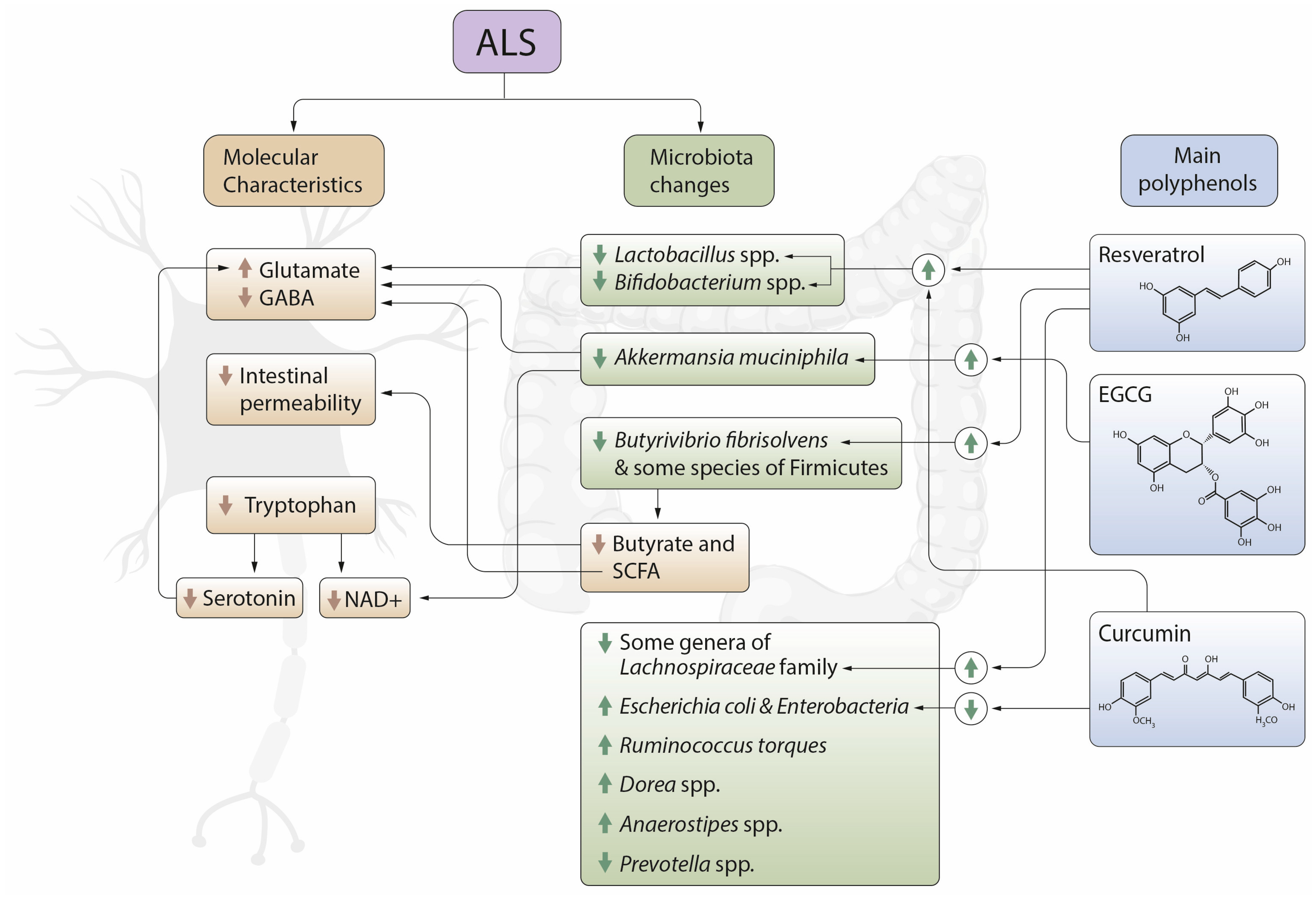 Metabolites 11 00120 g002 Metabolites 11 00120 g002