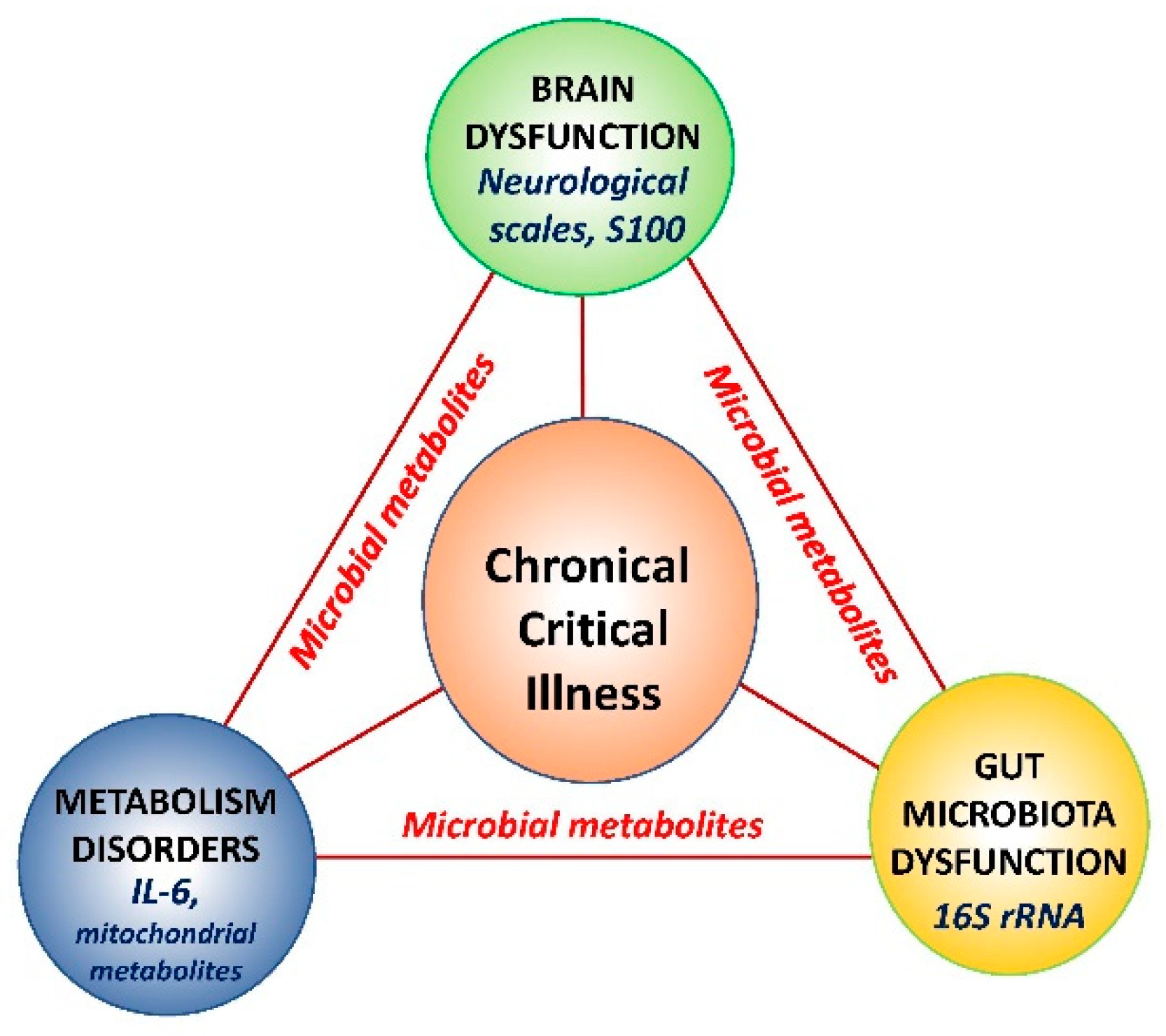 Metabolites 11 00122 g004 Metabolites 11 00122 g004
