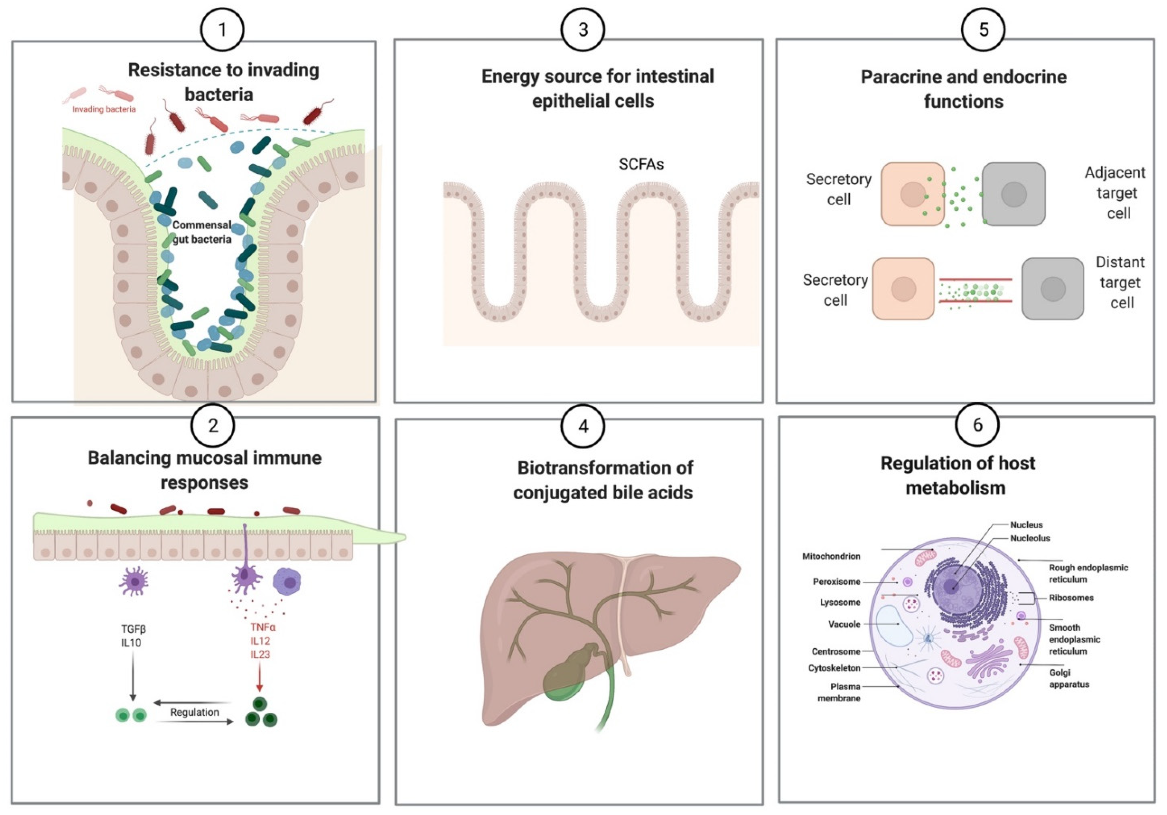 Metabolites 11 00123 g002 Metabolites 11 00123 g002