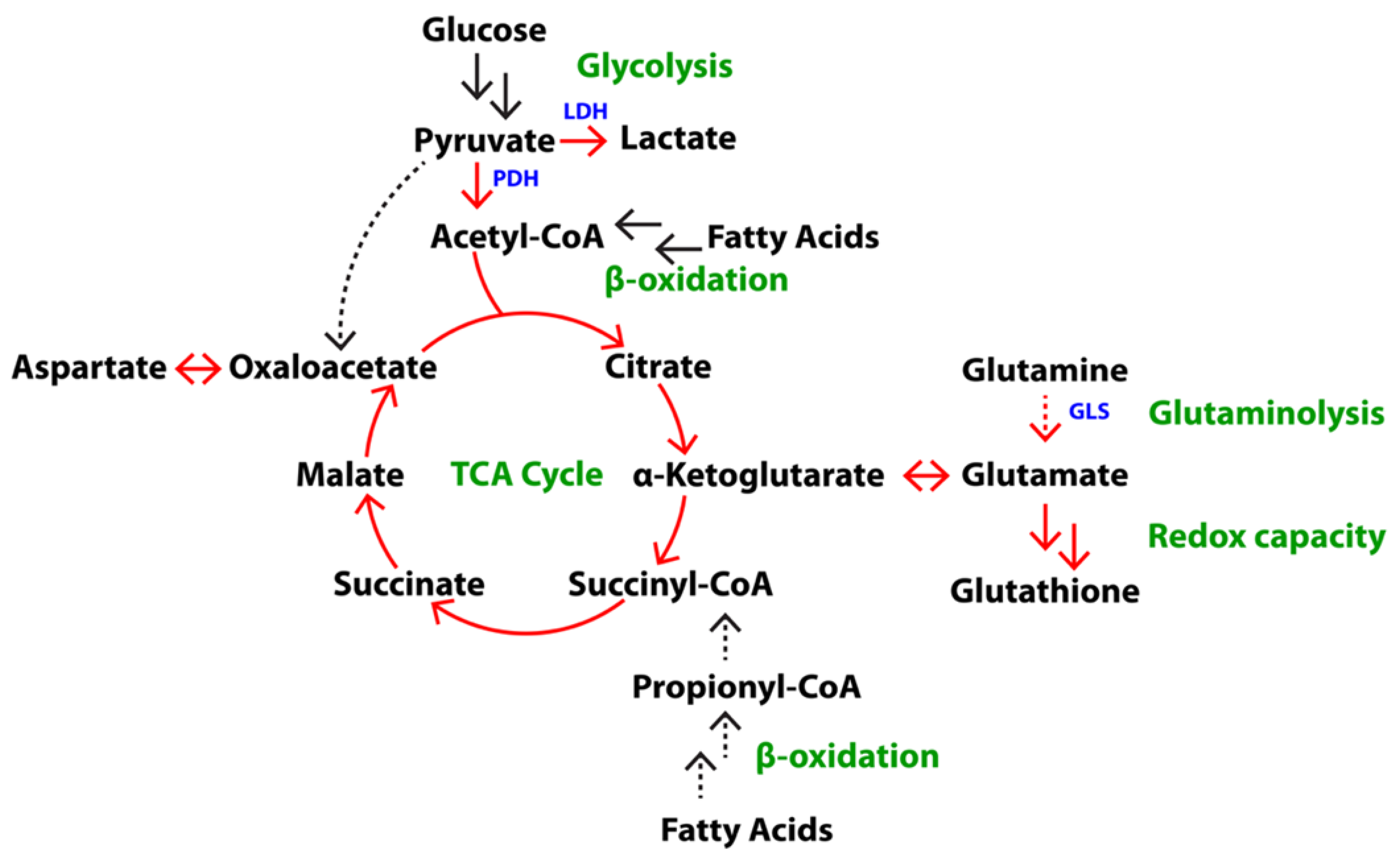 Metabolites 11 00139 g002 Metabolites 11 00139 g002
