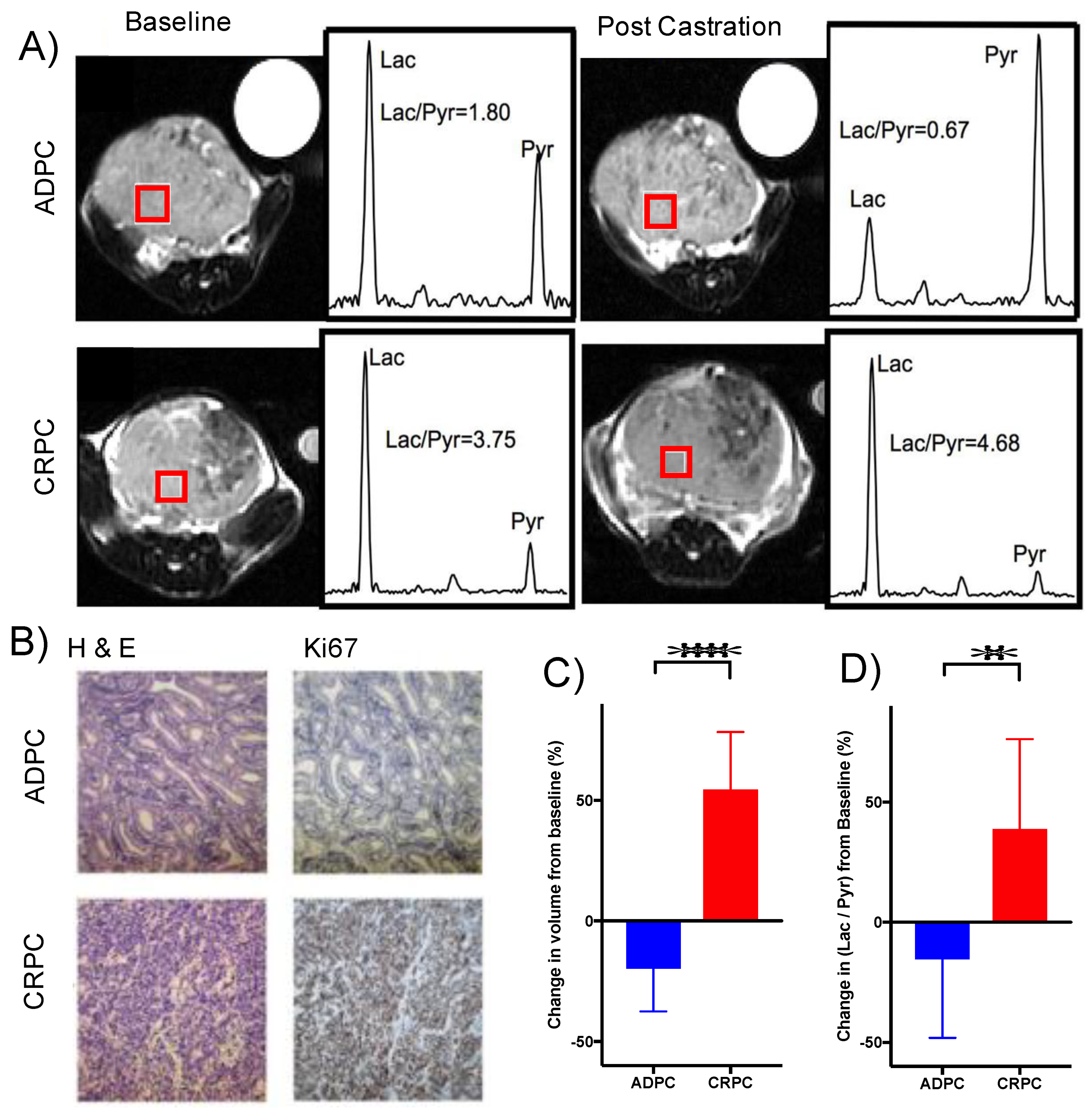 Metabolites 11 00139 g009 Metabolites 11 00139 g009