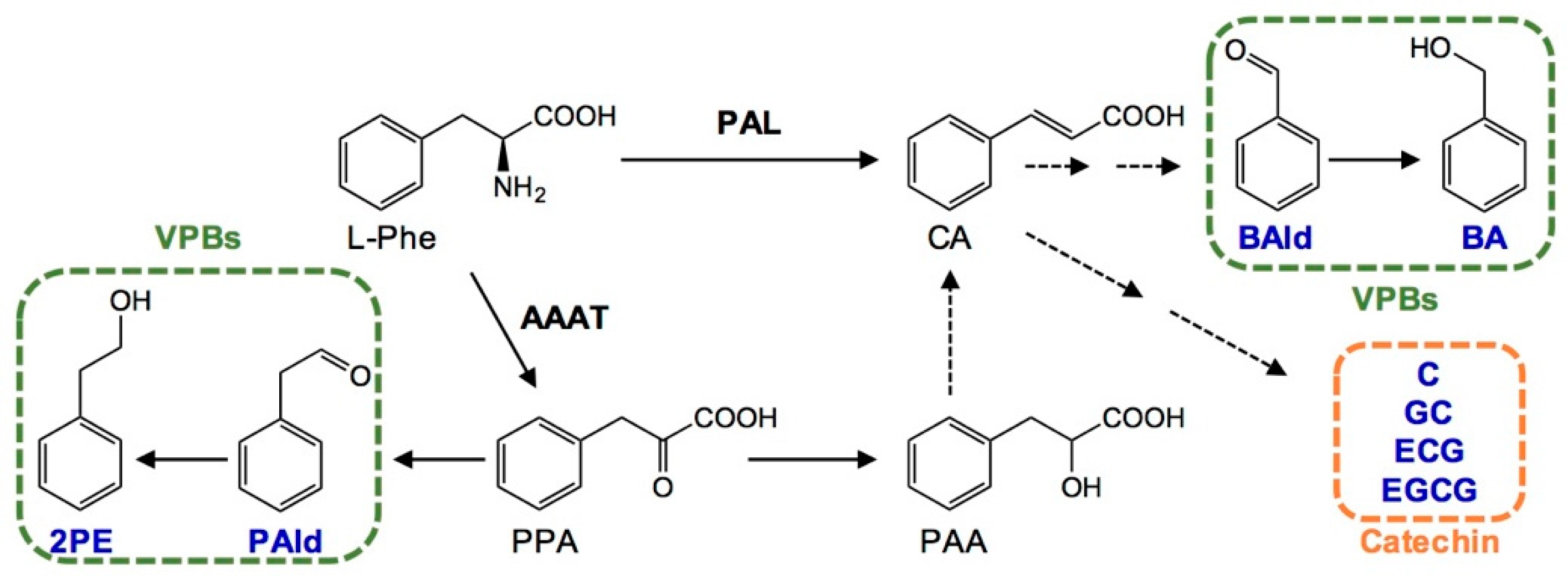 Metabolites 11 00146 g004 Metabolites 11 00146 g004