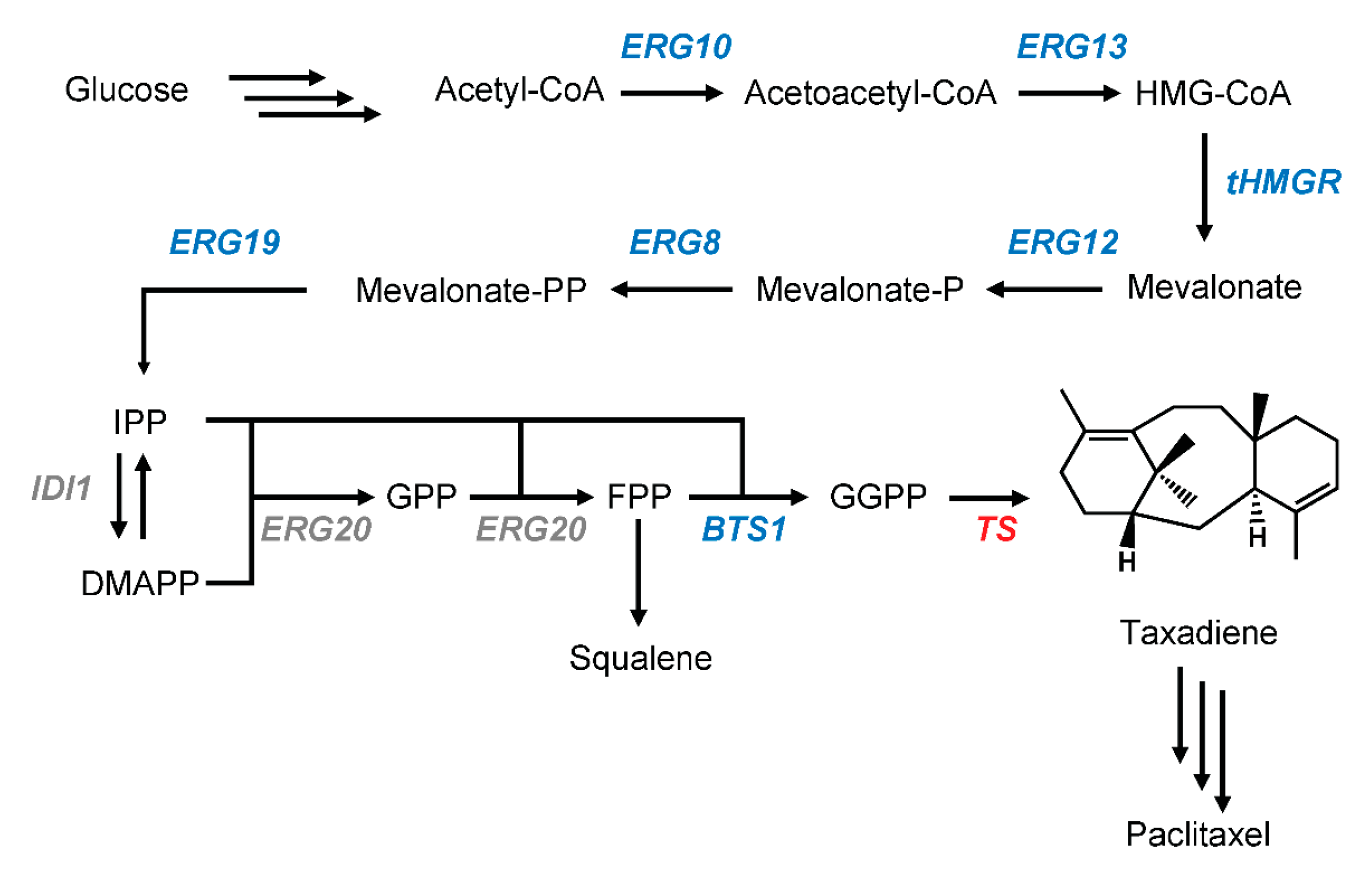 Metabolites 11 00147 g001