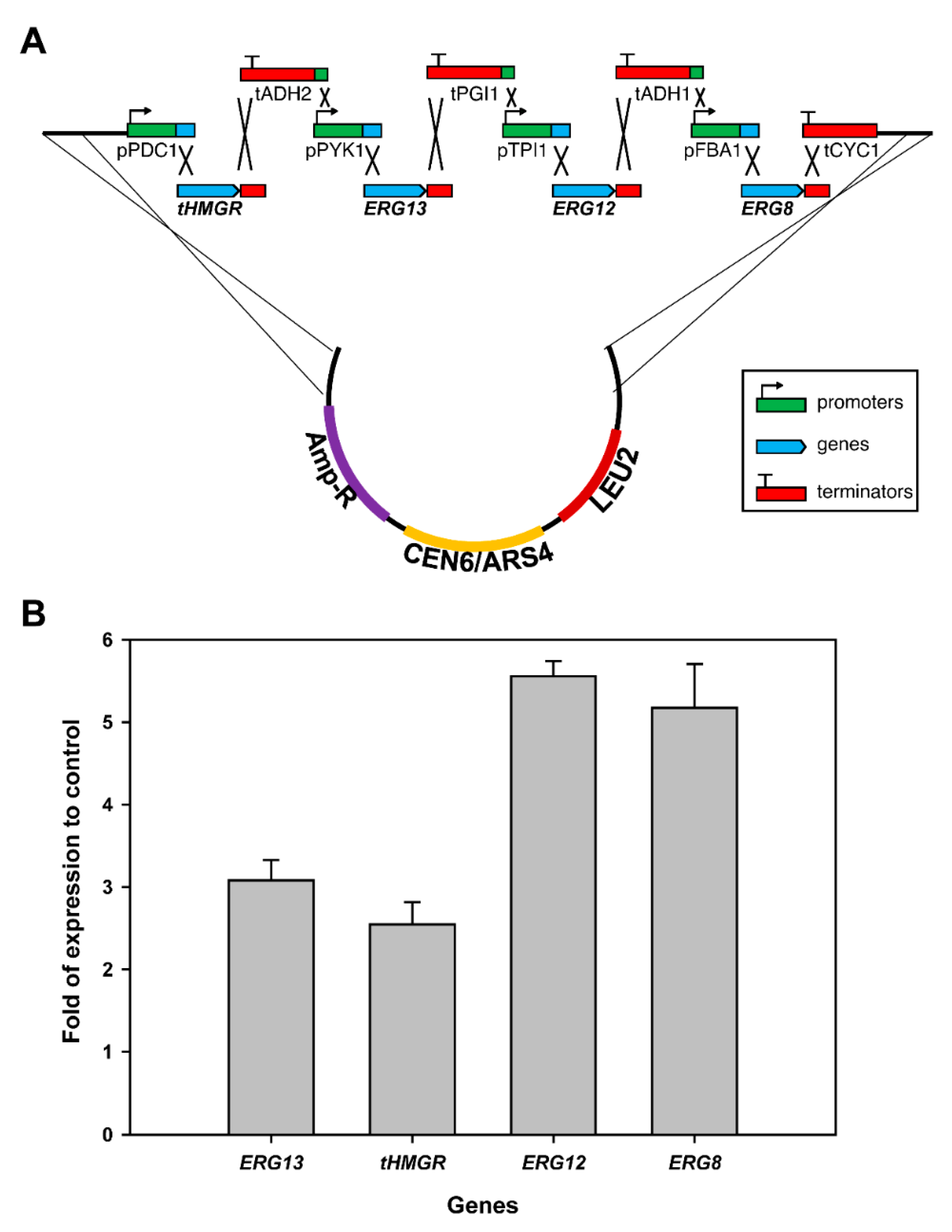Metabolites 11 00147 g002