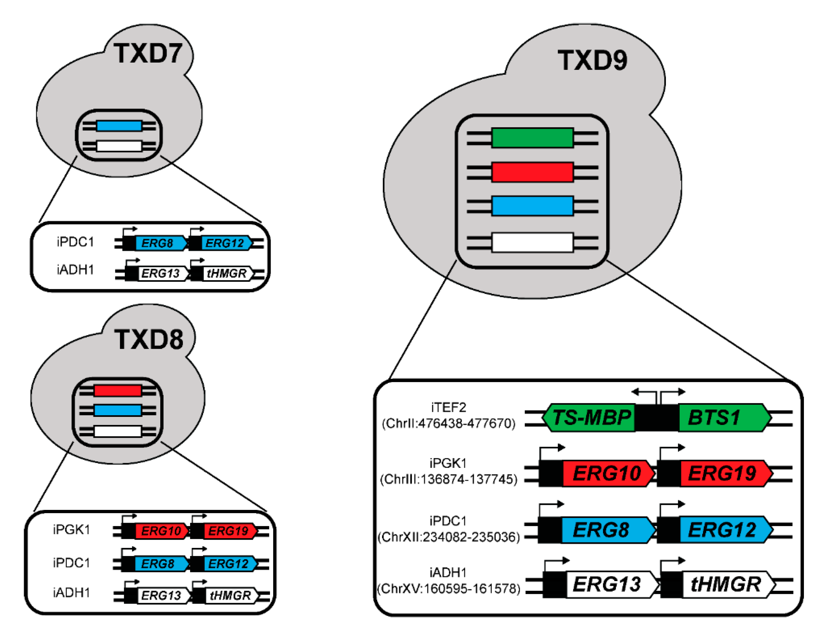 Metabolites 11 00147 g006