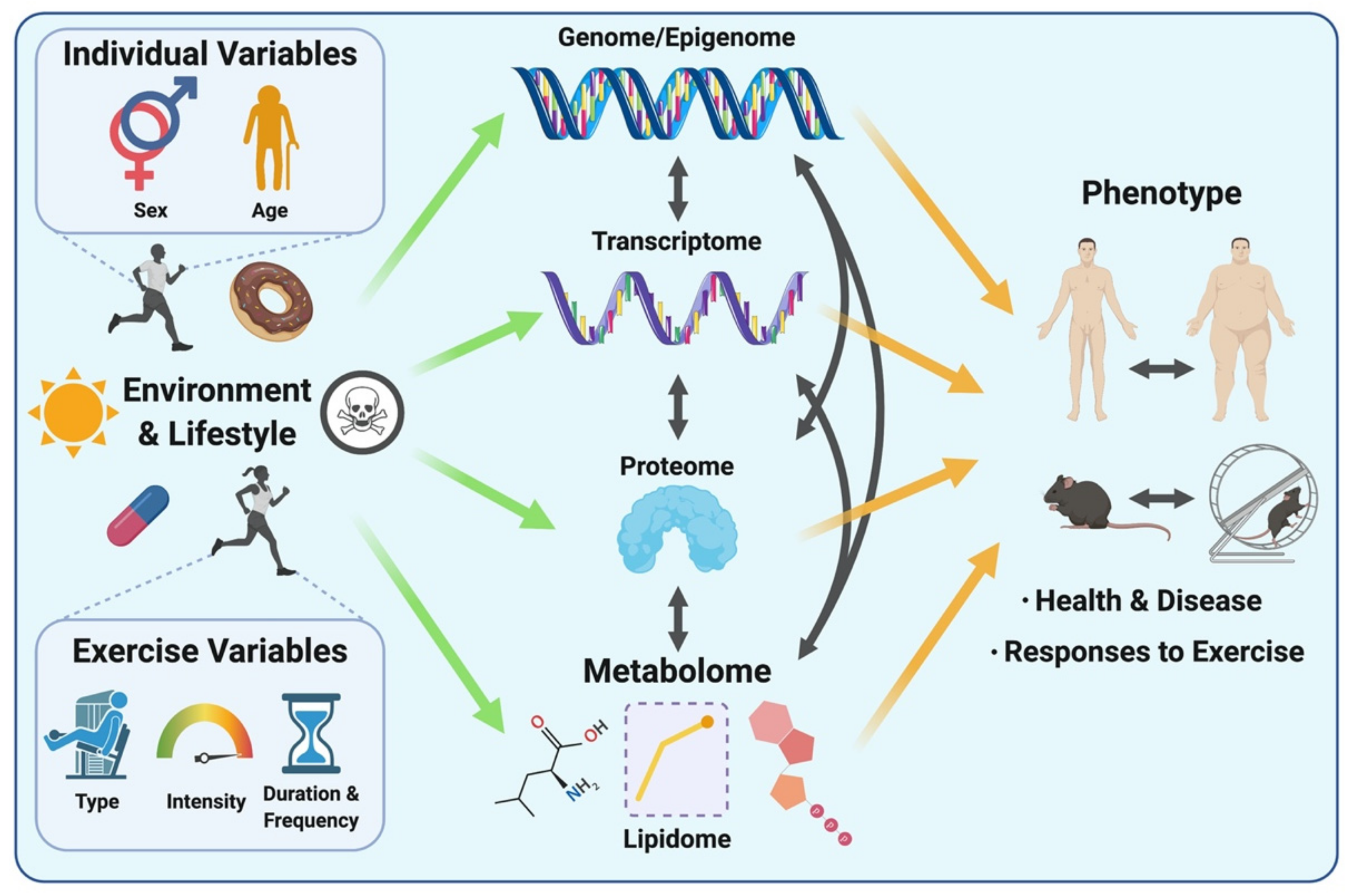 Metabolites 11 00151 g001 Metabolites 11 00151 g001