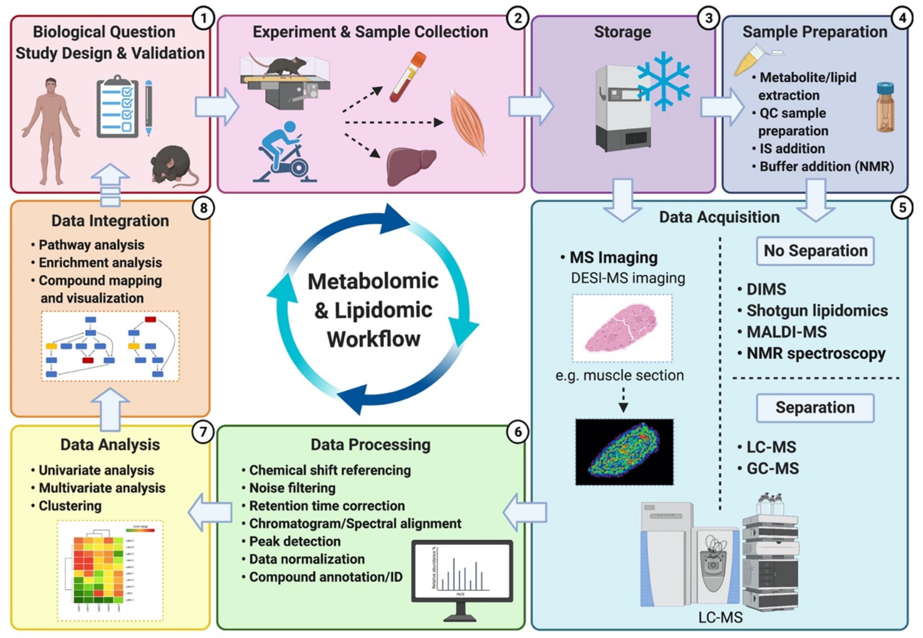 Metabolites 11 00151 g002 Metabolites 11 00151 g002