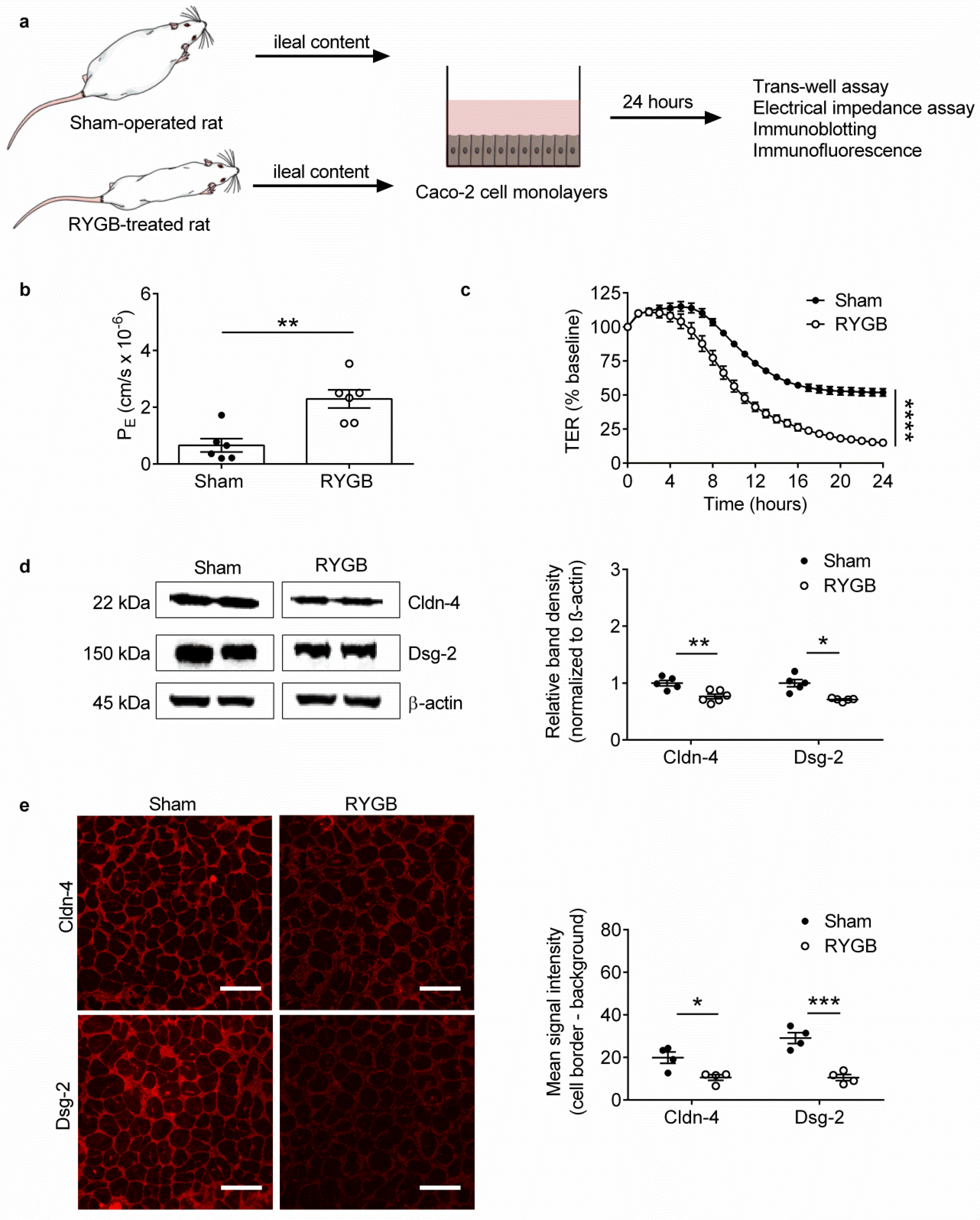 Metabolites 11 00153 g002