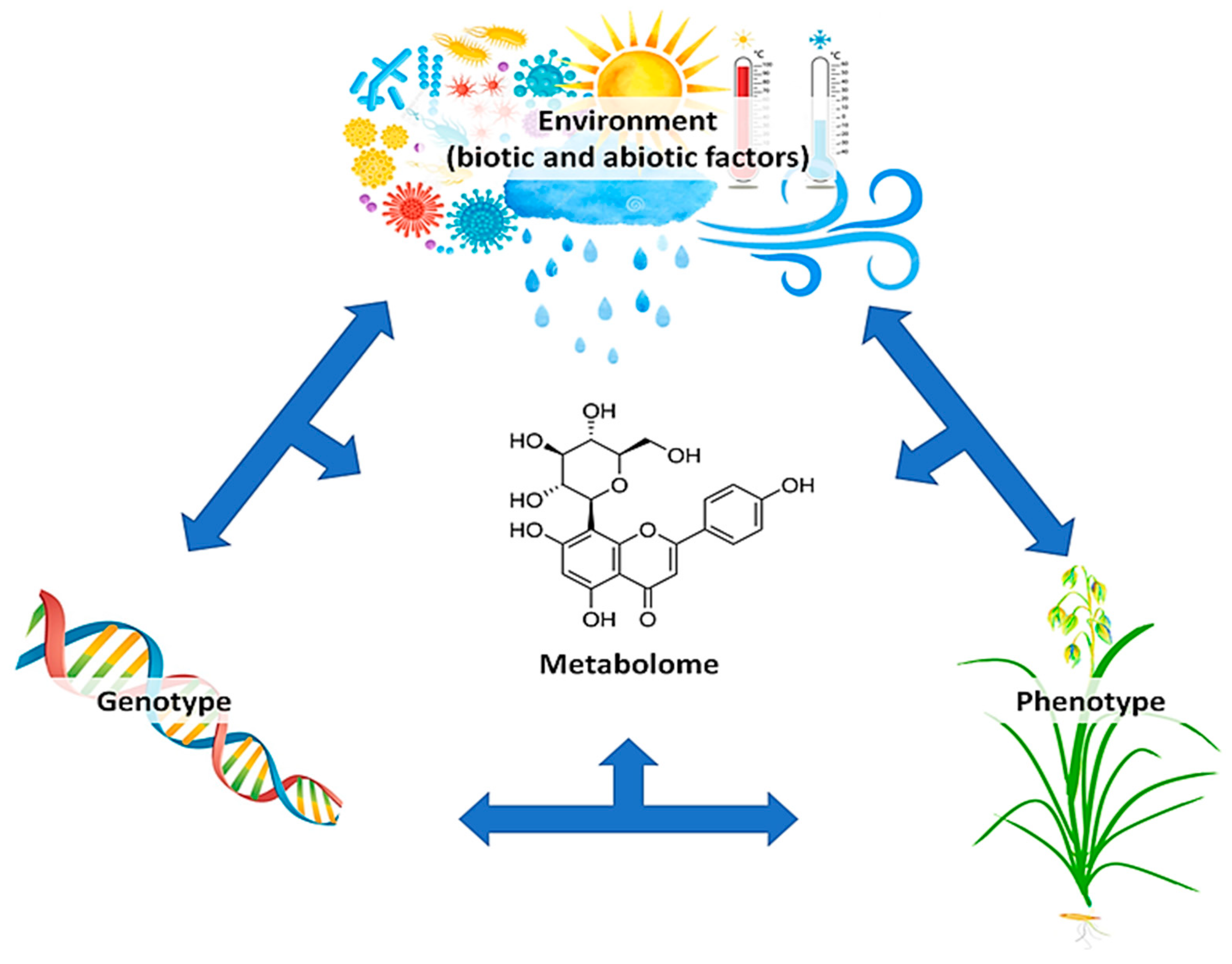 Metabolites 11 00165 g001