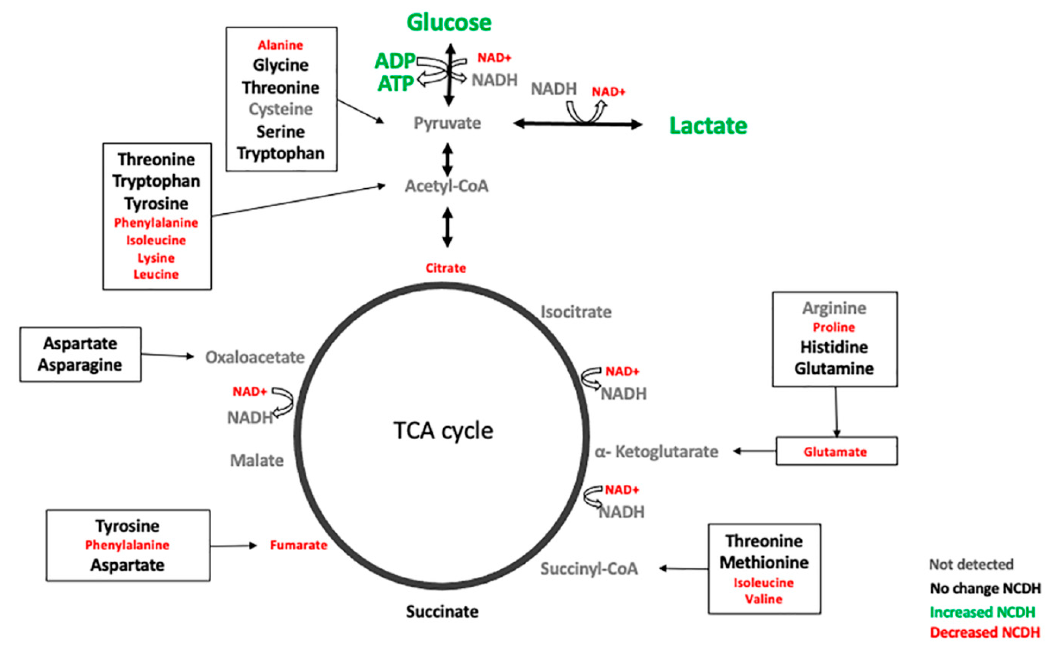 Metabolites 11 00177 g004
