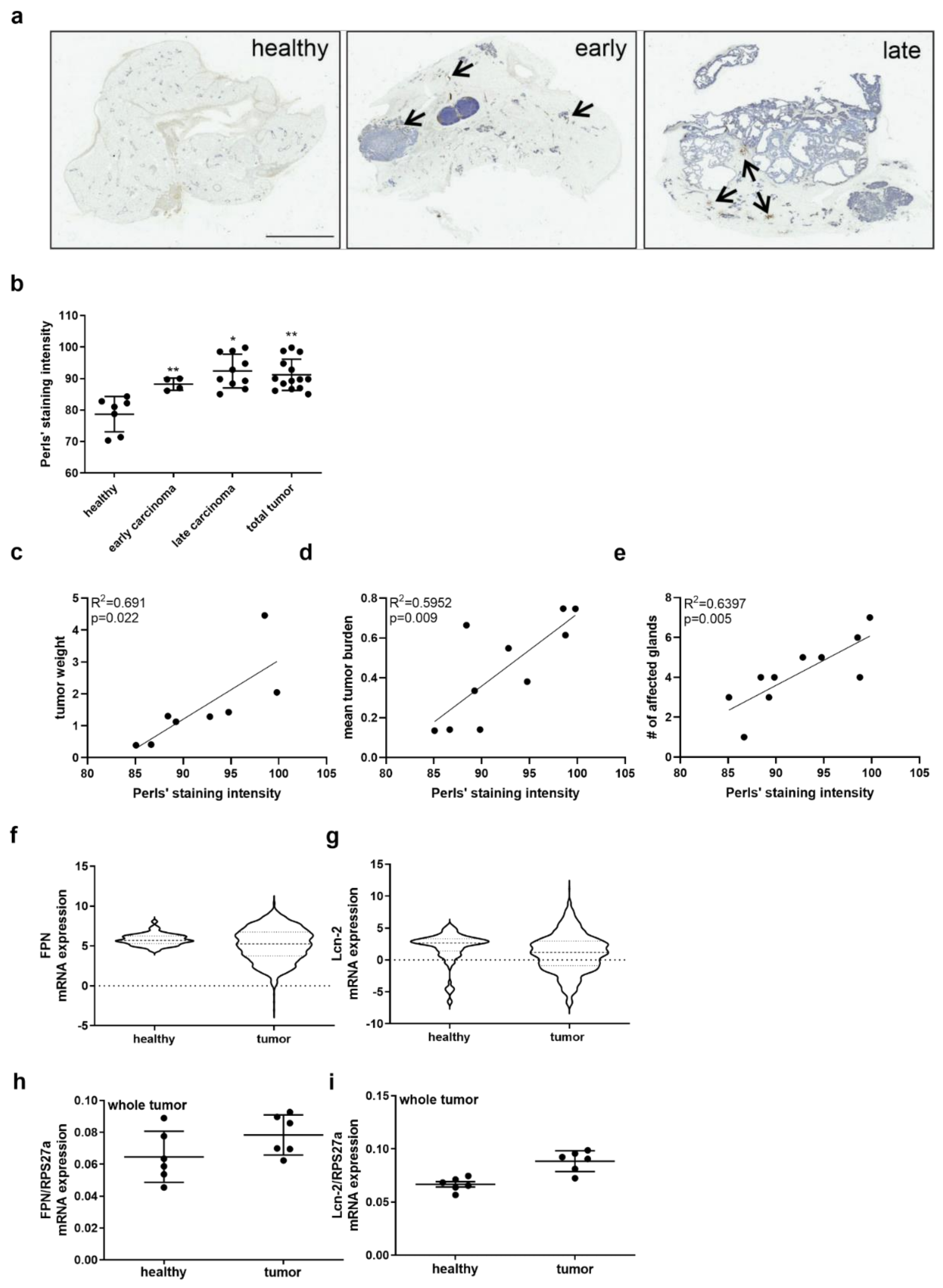 Metabolites 11 00180 g001 Metabolites 11 00180 g001