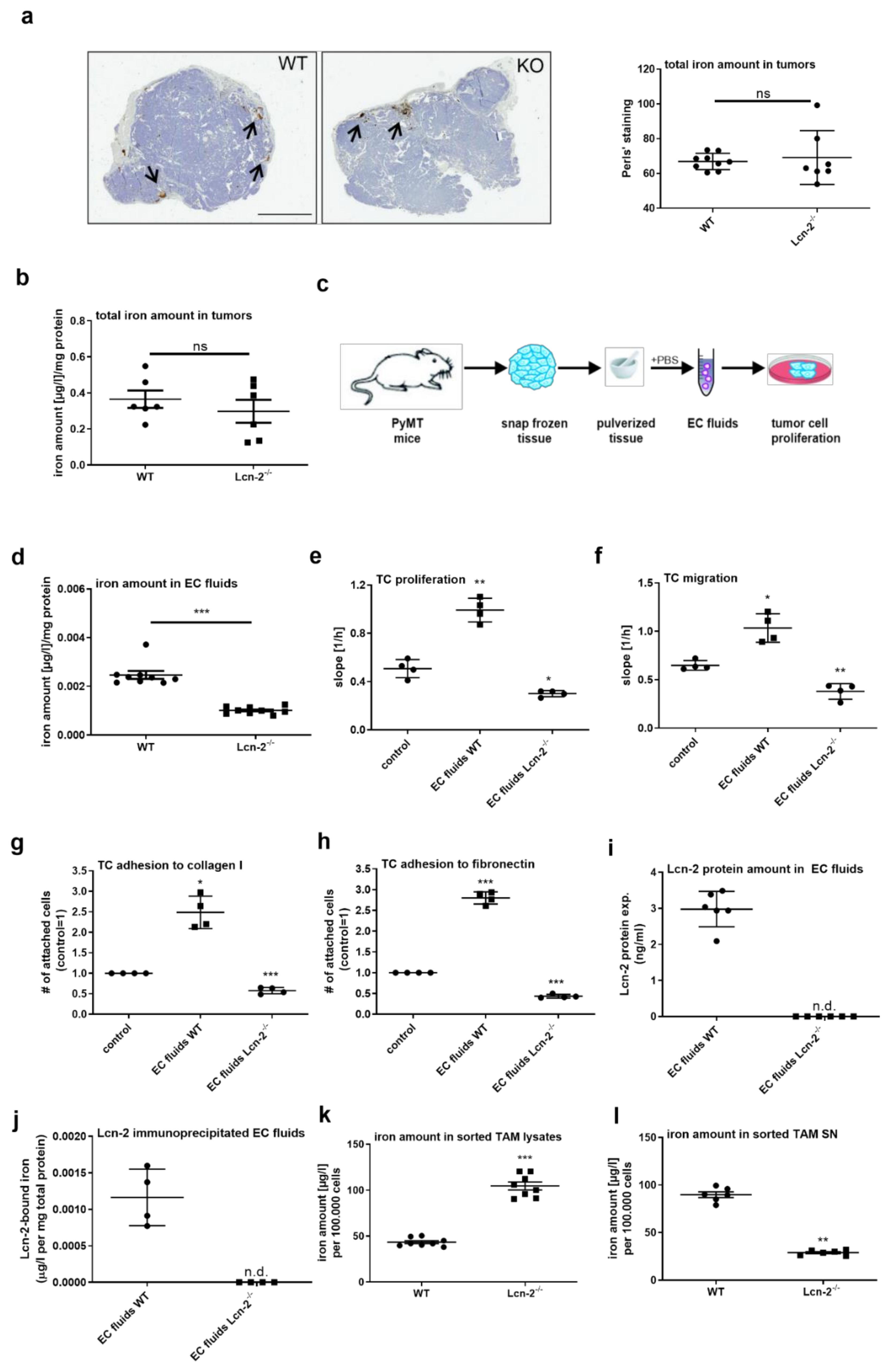 Metabolites 11 00180 g003 Metabolites 11 00180 g003