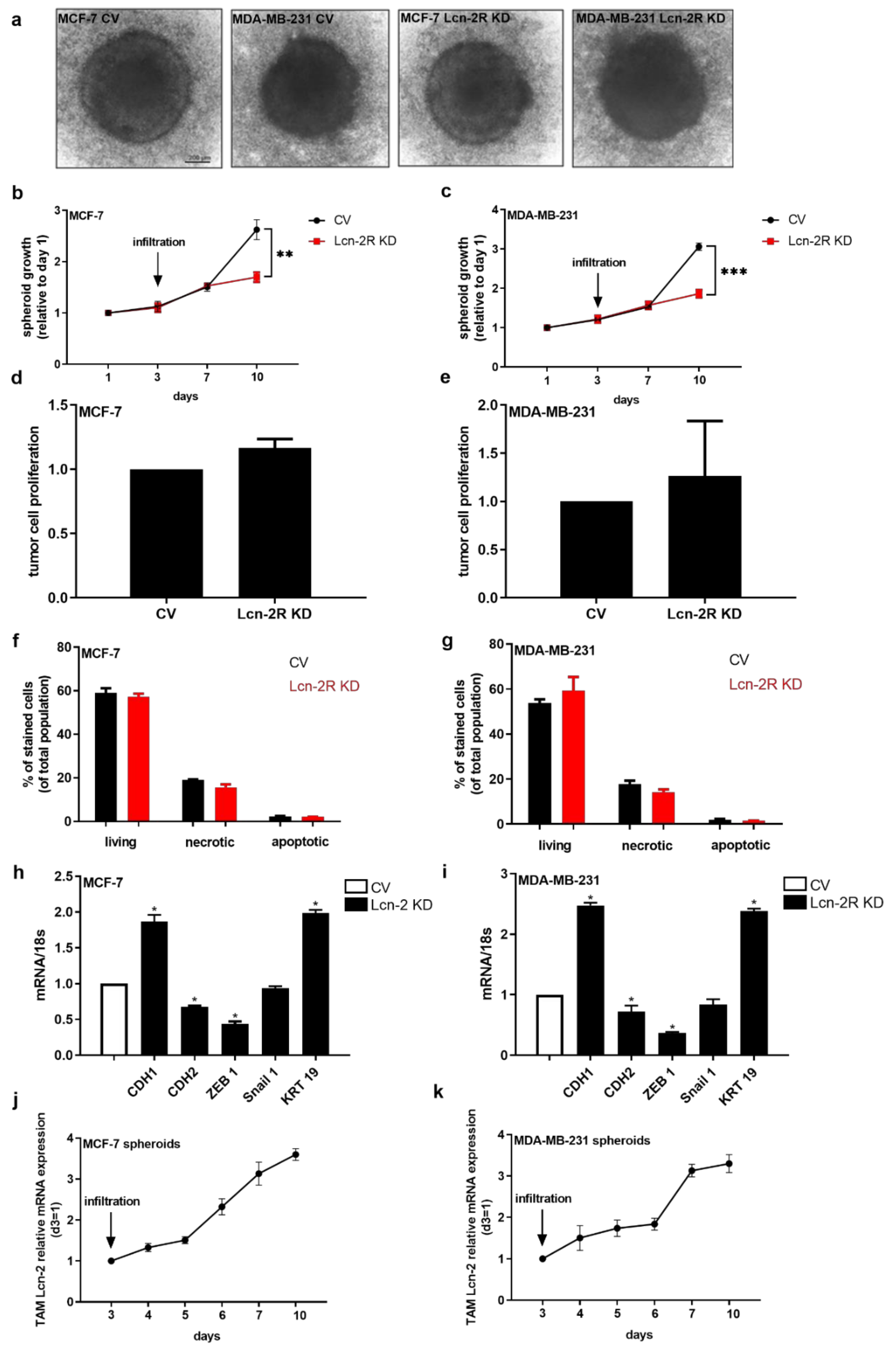 Metabolites 11 00180 g005 Metabolites 11 00180 g005