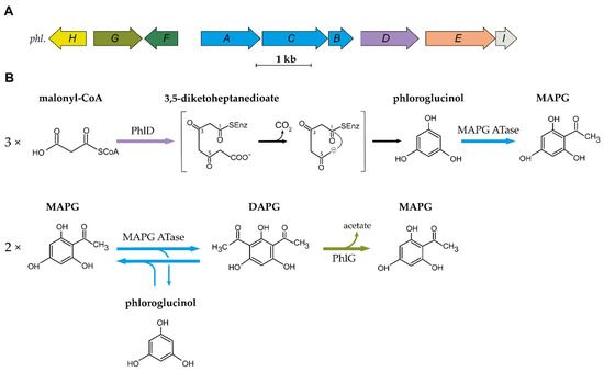 Metabolites 11 00182 g001 550
