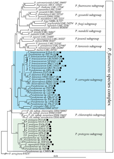 Metabolites 11 00182 g002 550