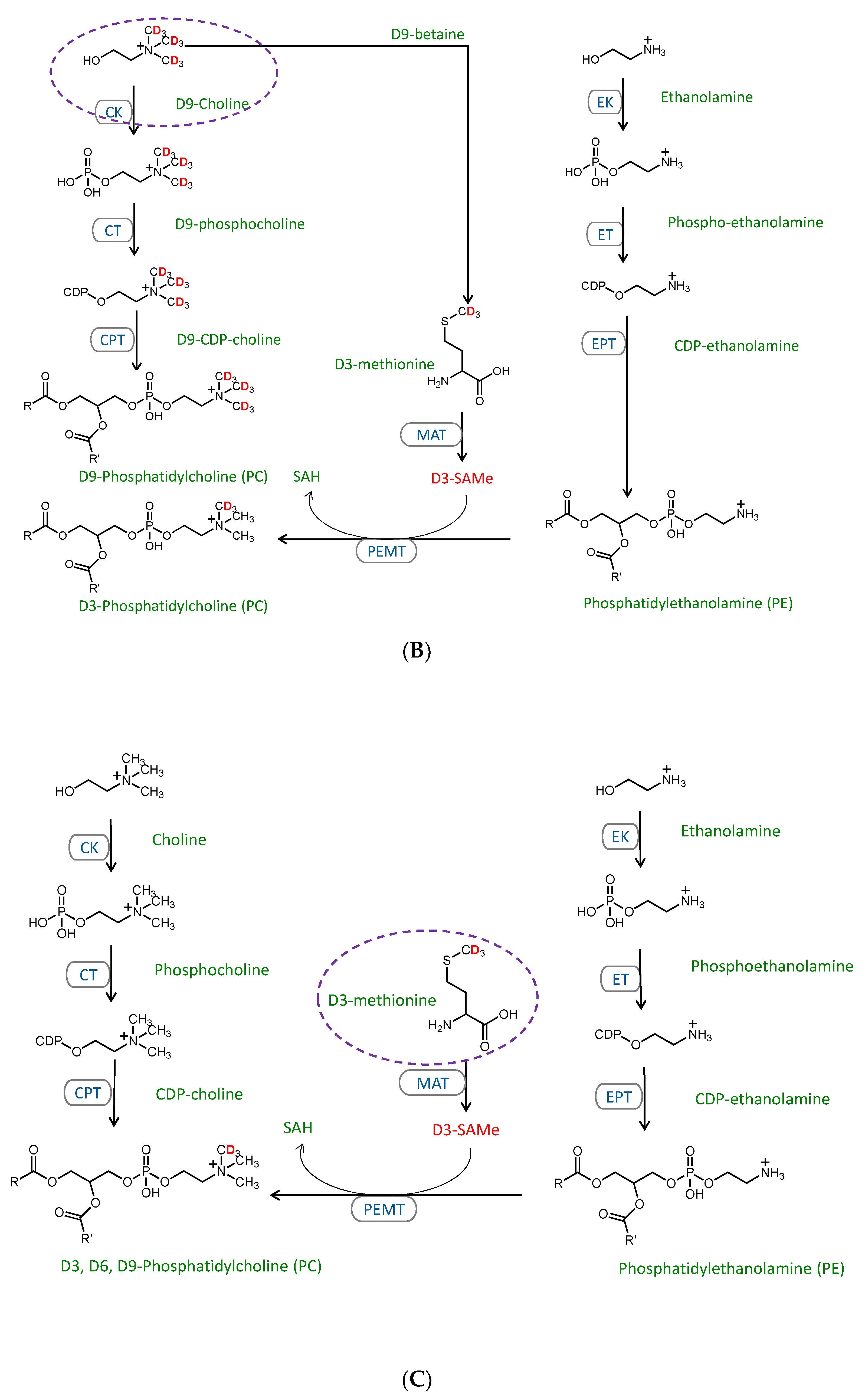 Metabolites 11 00188 g003b Metabolites 11 00188 g003b