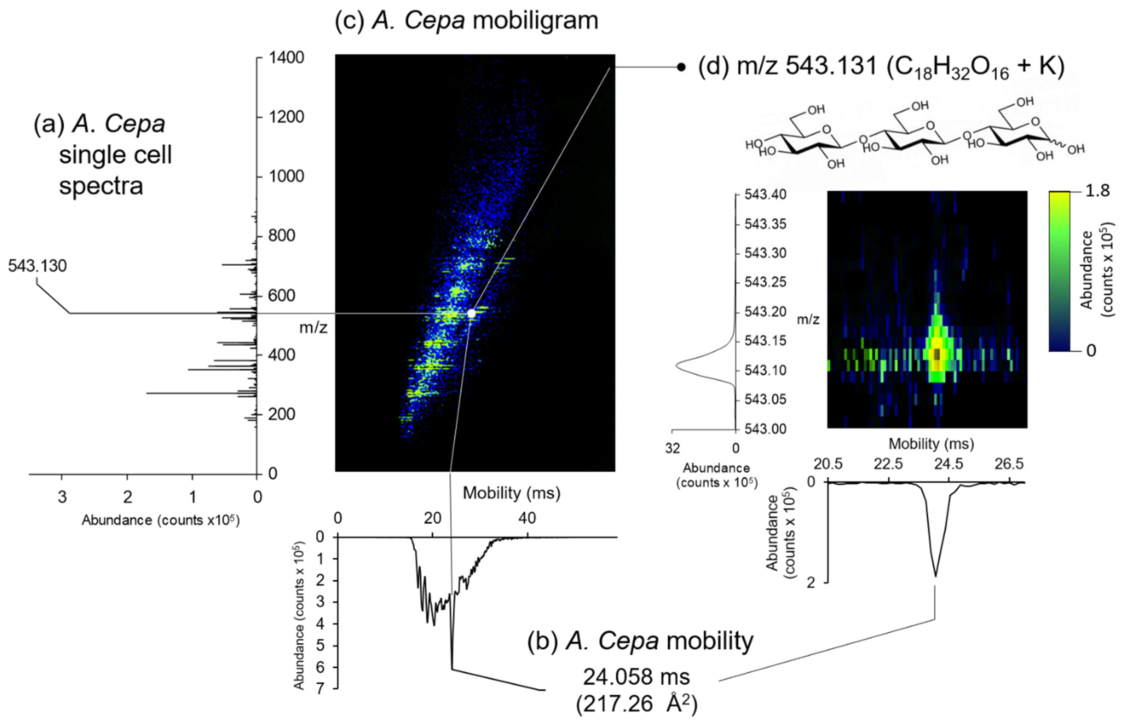 Infrared Laser Ablation Microsampling with a Reflective Objective