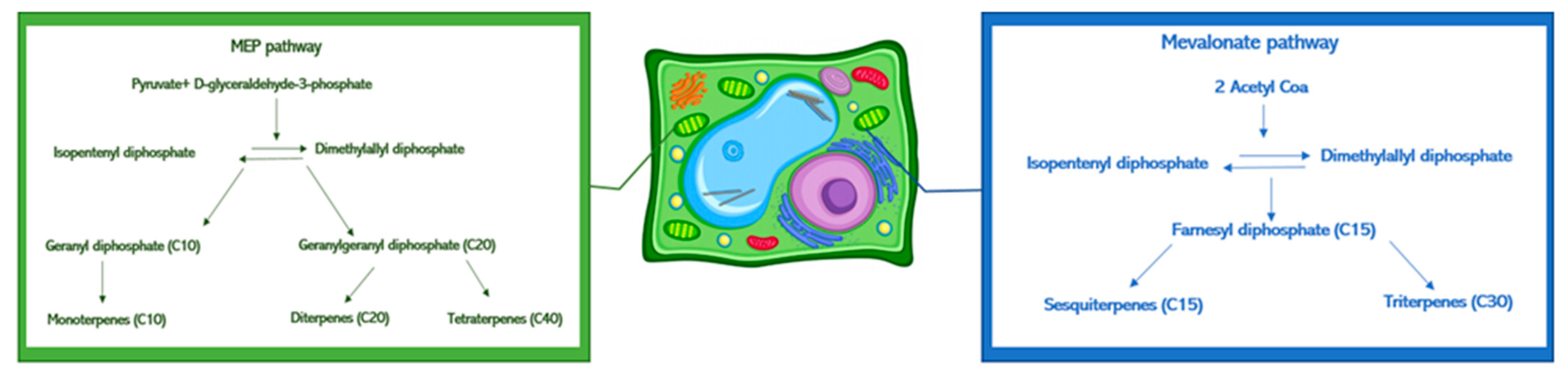 Metabolites 11 00213 g003 Metabolites 11 00213 g003