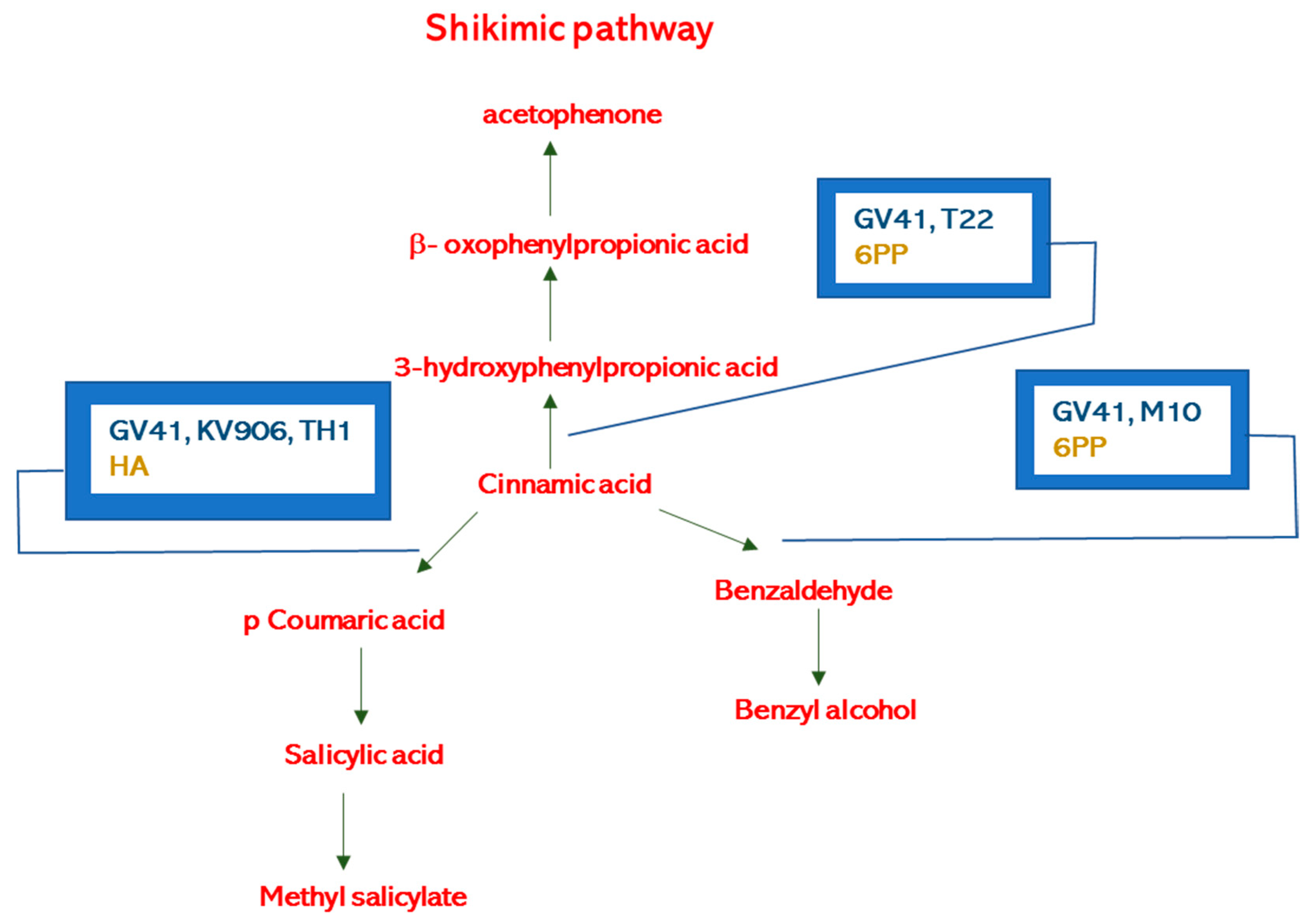 Metabolites 11 00213 g004 Metabolites 11 00213 g004