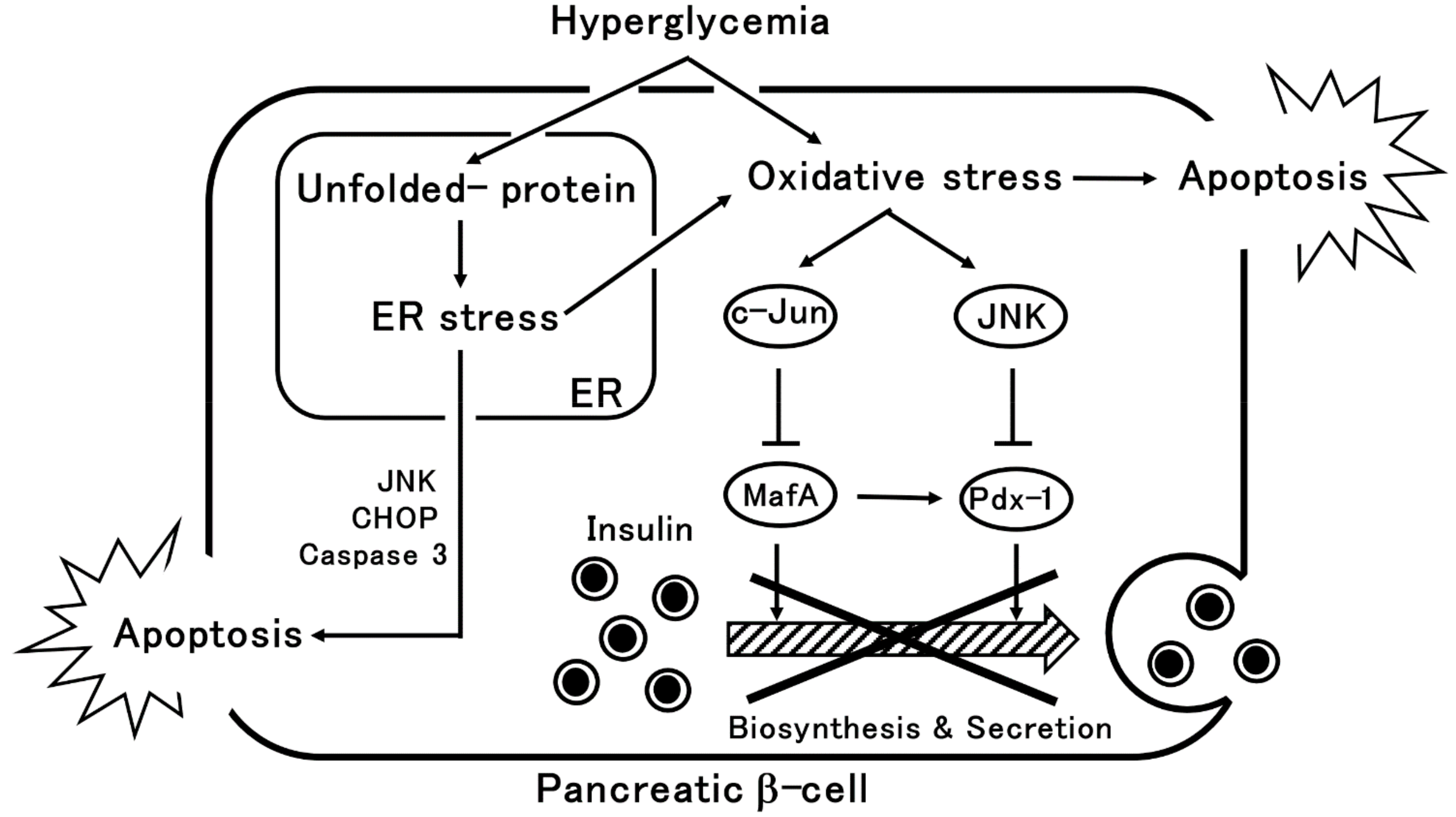 Metabolites 11 00218 g001