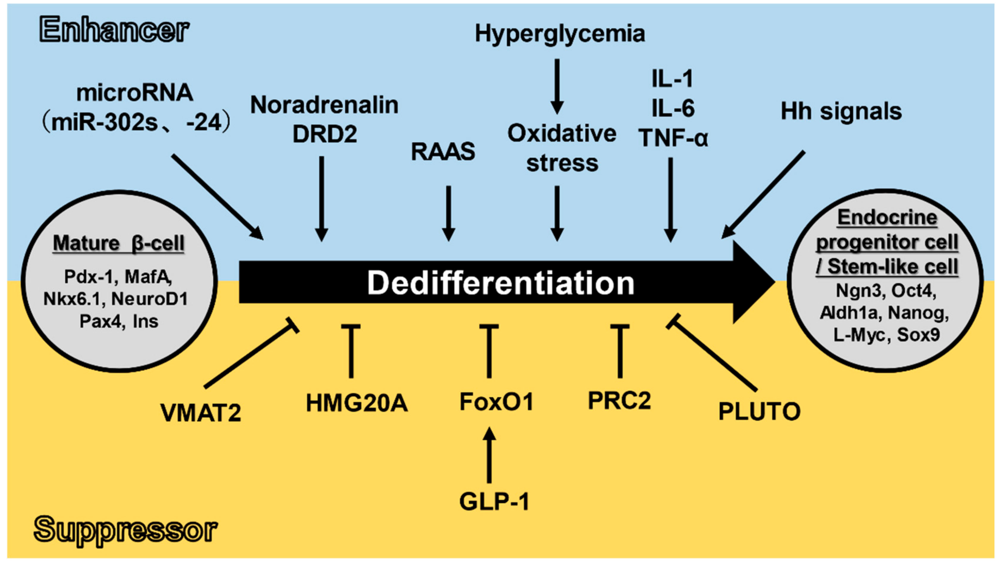 Metabolites 11 00218 g002