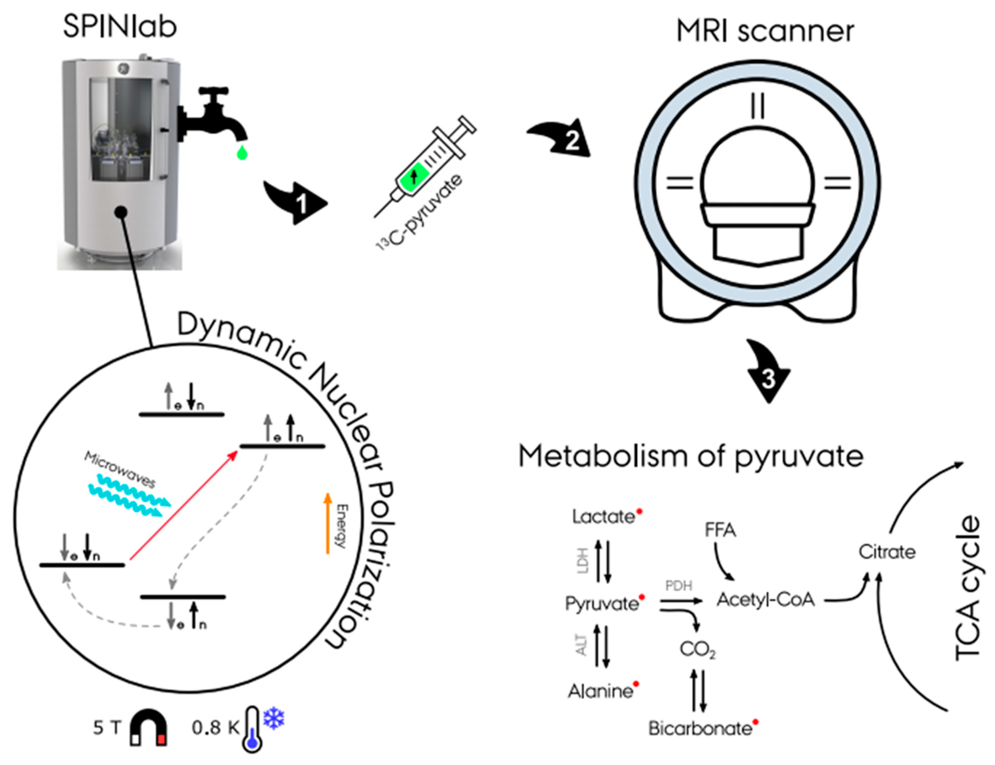Metabolites 11 00219 g002 Metabolites 11 00219 g002