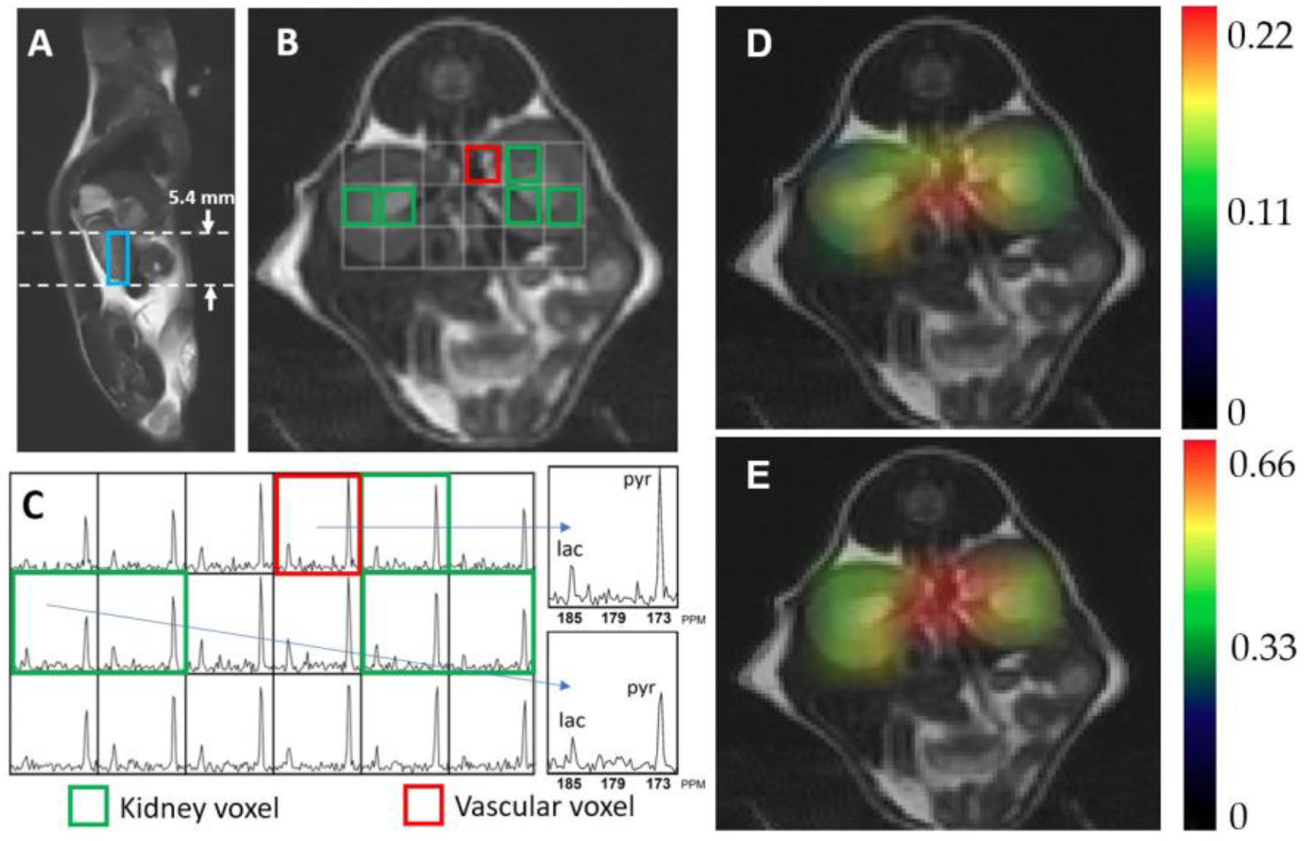 Metabolites 11 00222 g002 Metabolites 11 00222 g002