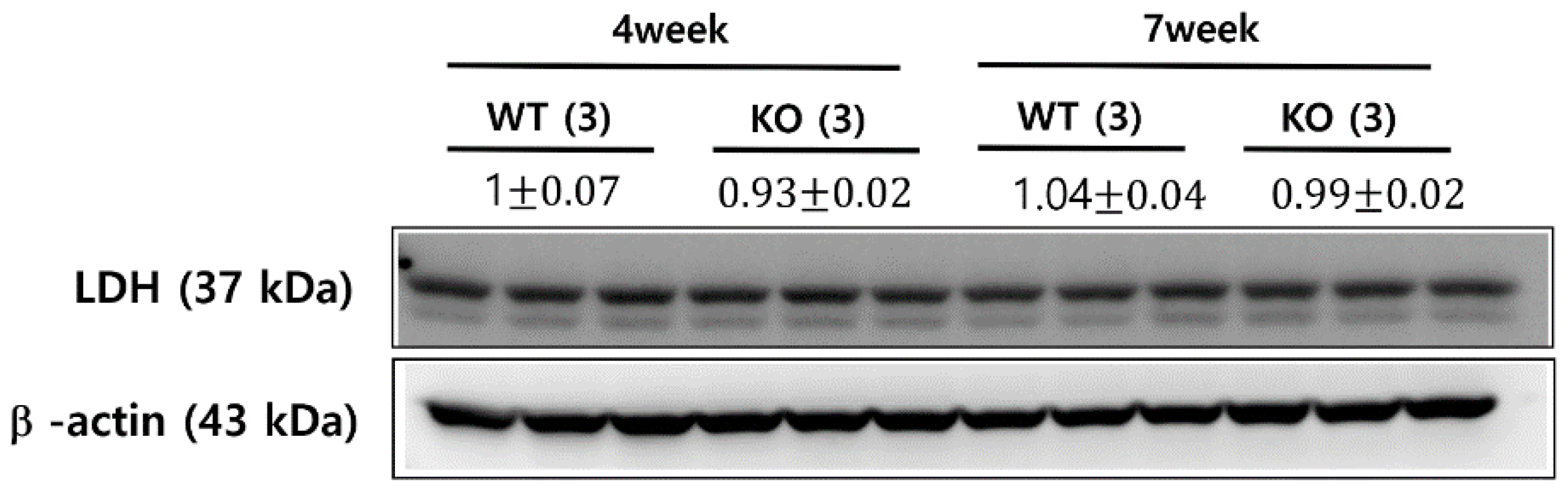 Metabolites 11 00222 g005 Metabolites 11 00222 g005