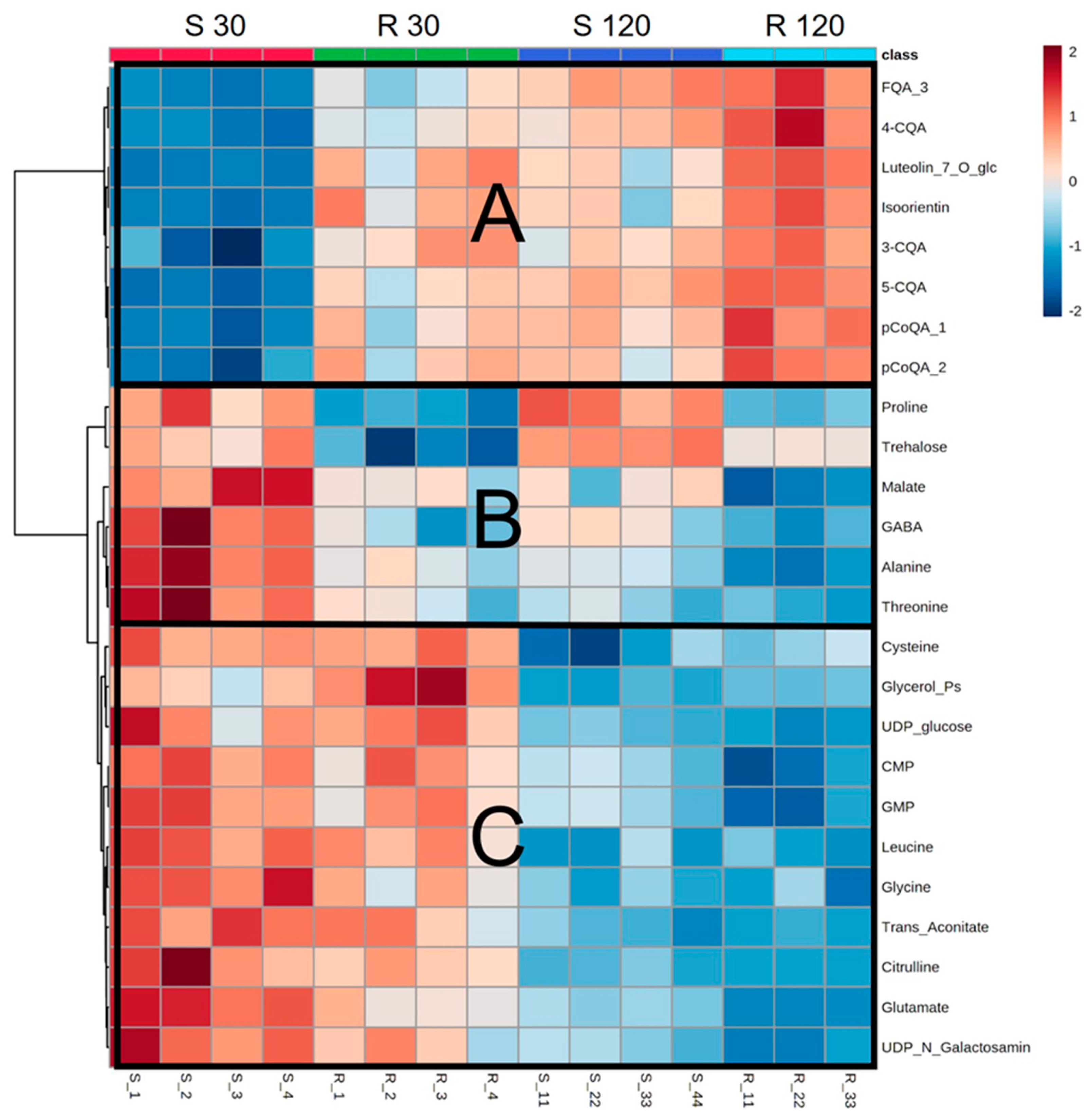Metabolites 11 00234 g004