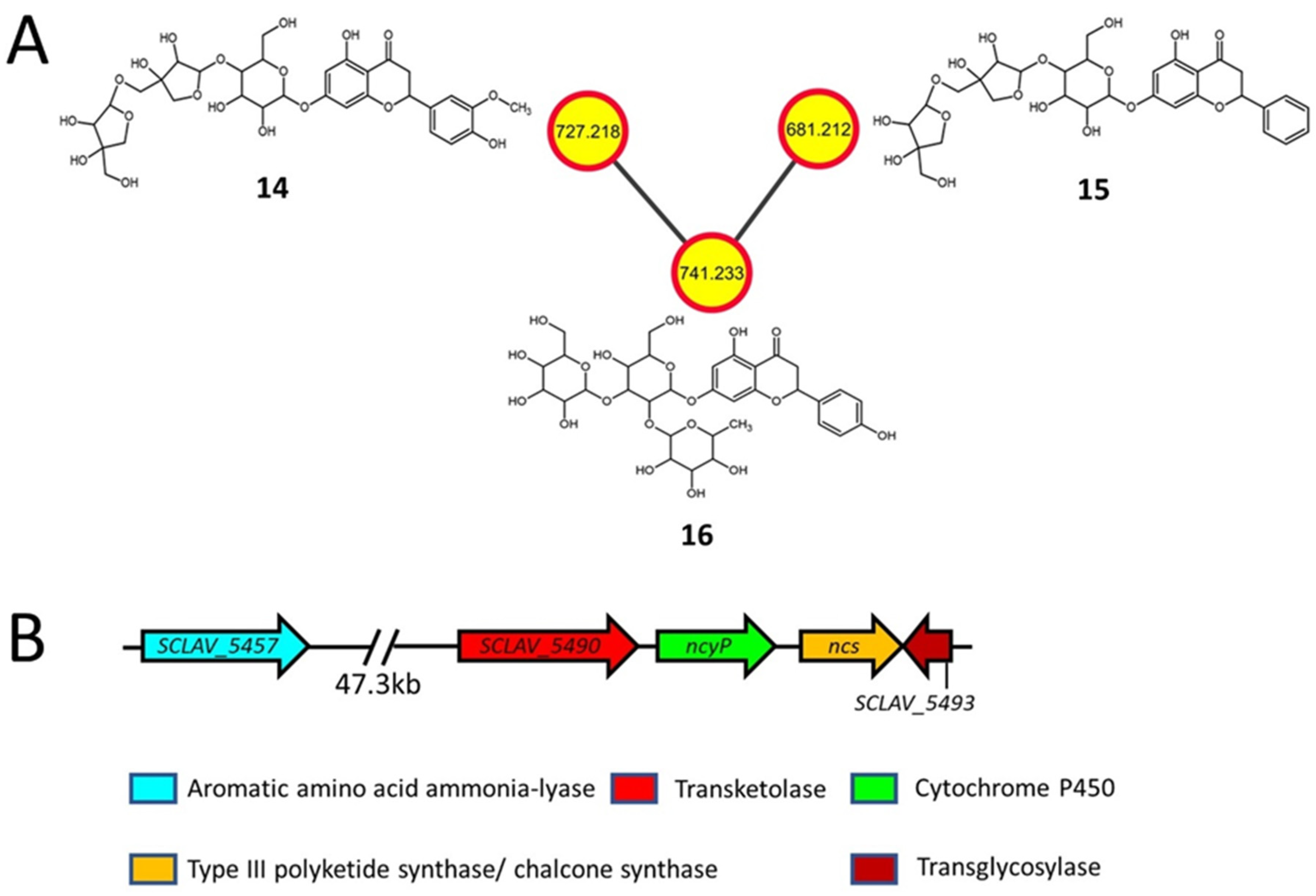 Metabolites 11 00239 g003 Metabolites 11 00239 g003