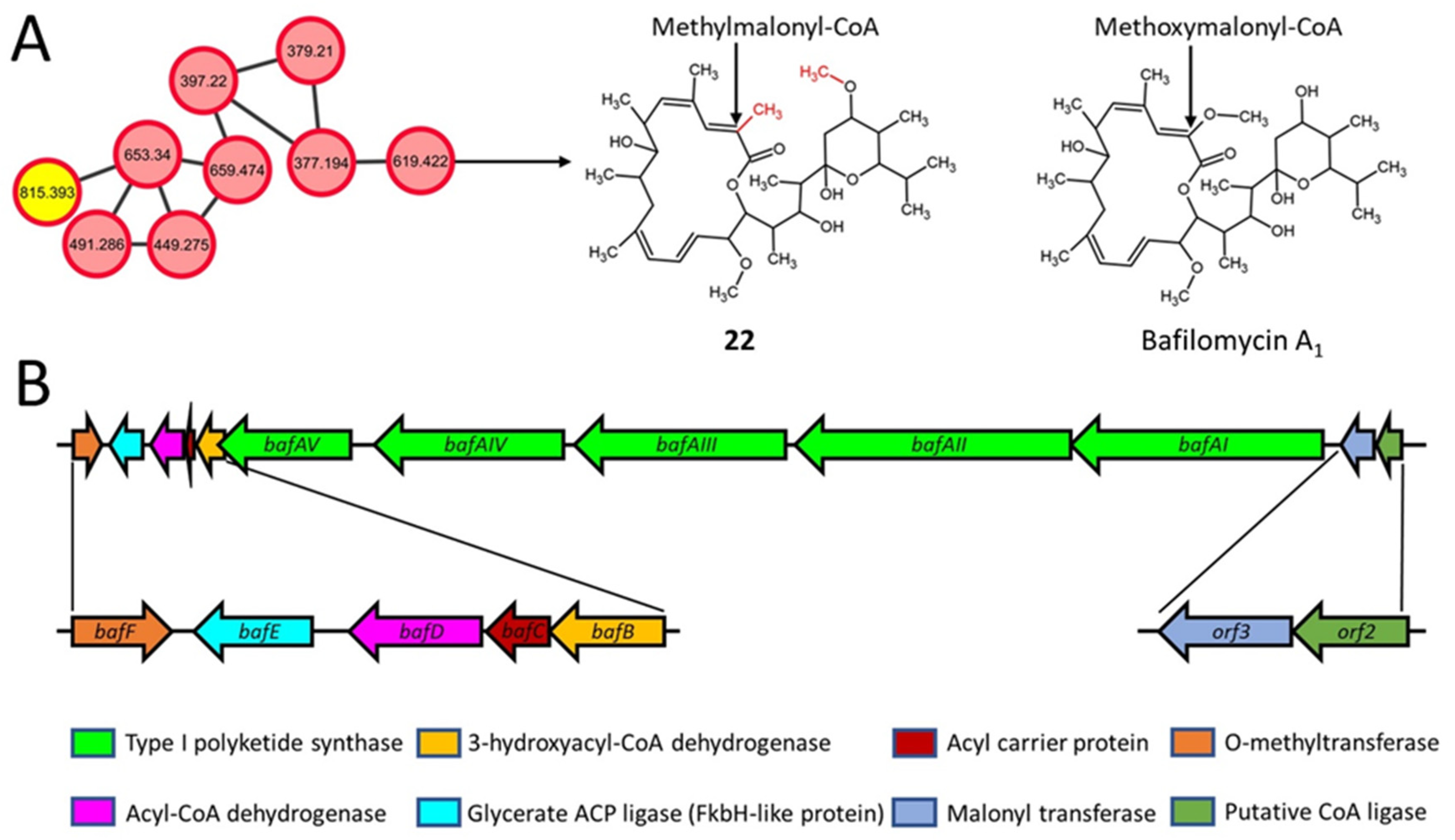 Metabolites 11 00239 g006 Metabolites 11 00239 g006